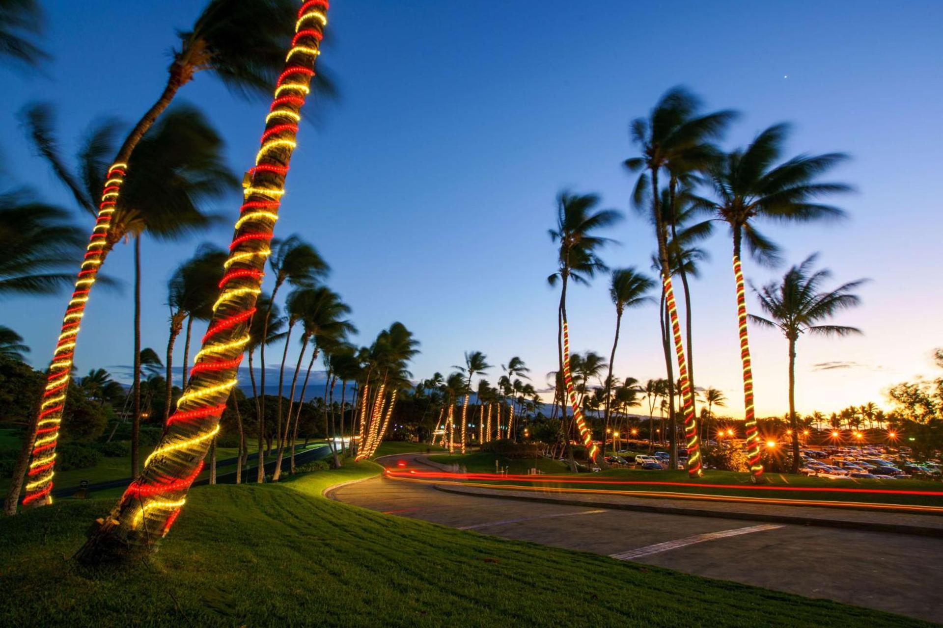 Hilton Waikoloa Village photo 16