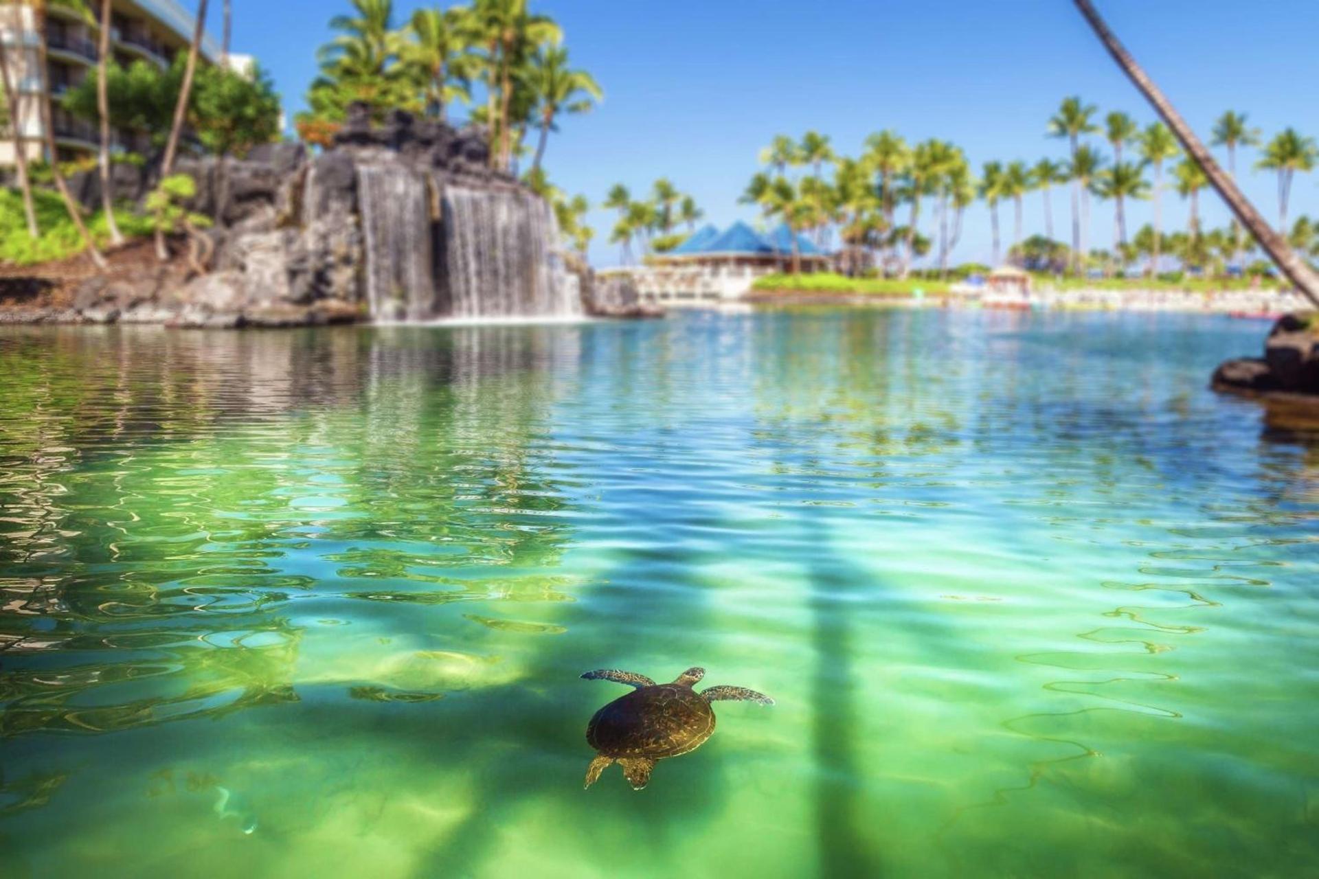 Hilton Waikoloa Village photo 34