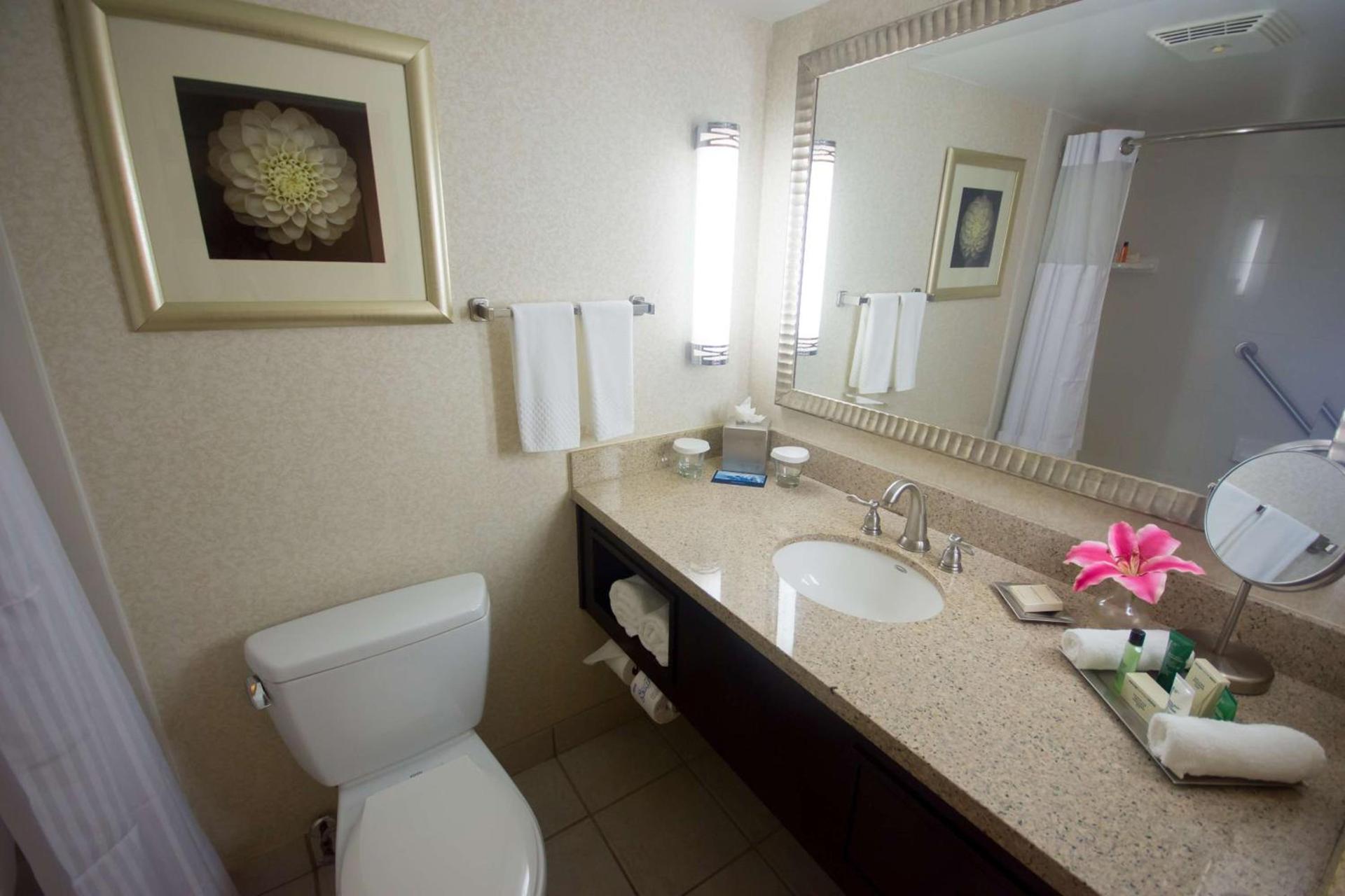 Hilton Palm Beach PBI photo 40