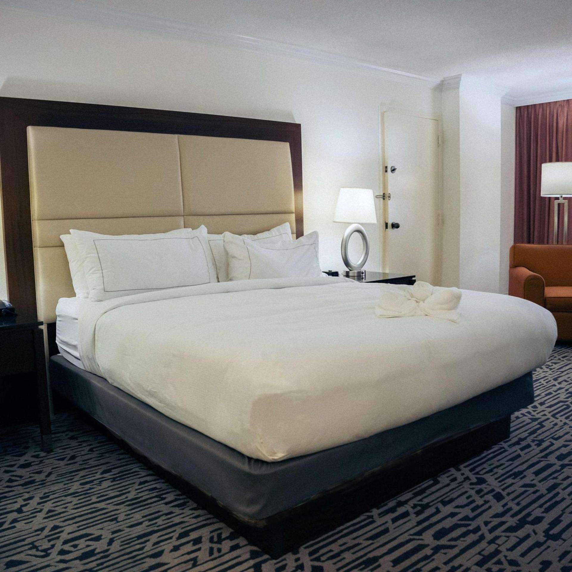 Hilton Palm Beach PBI photo 42