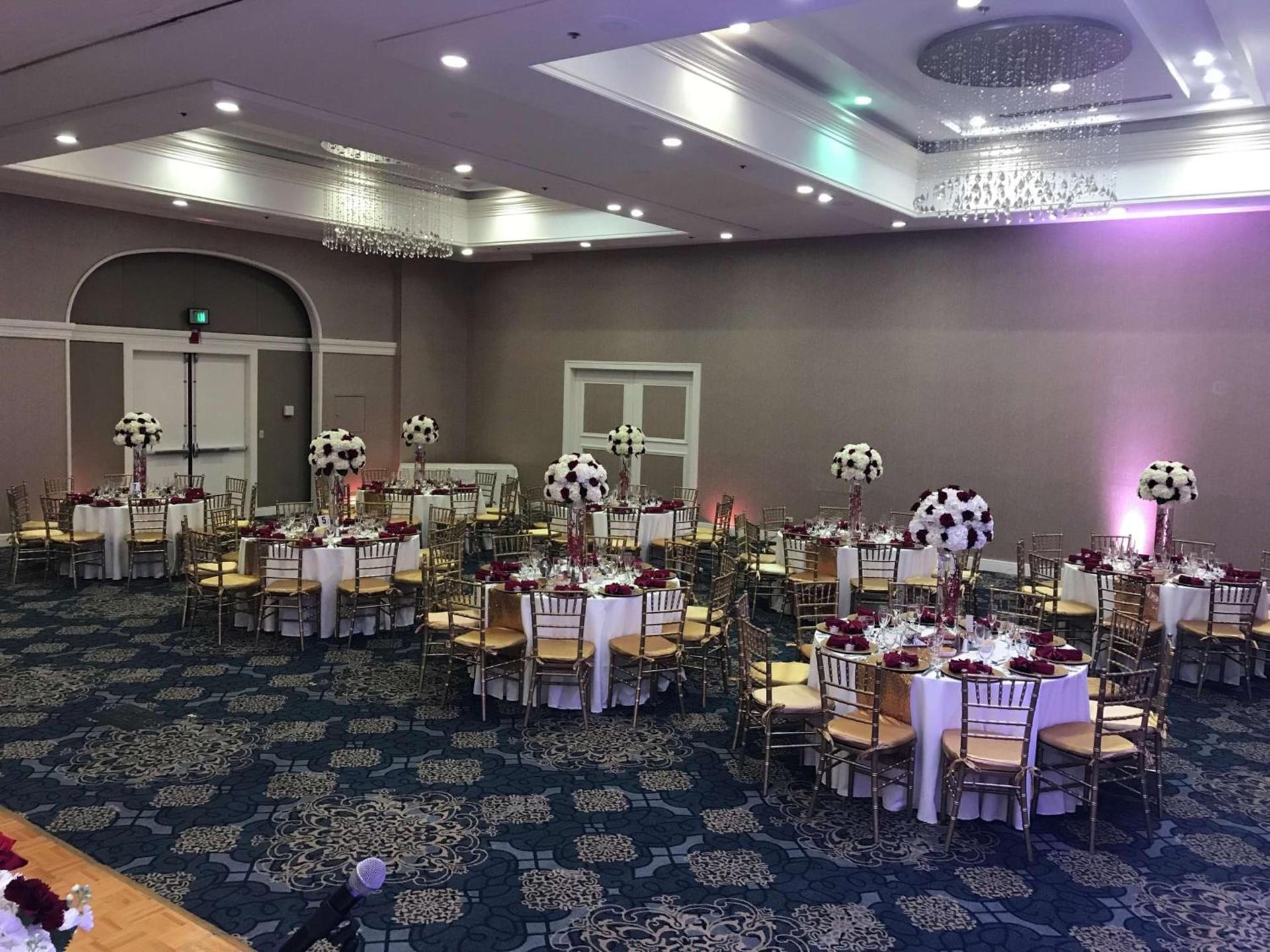 Hilton Palm Beach PBI photo 48