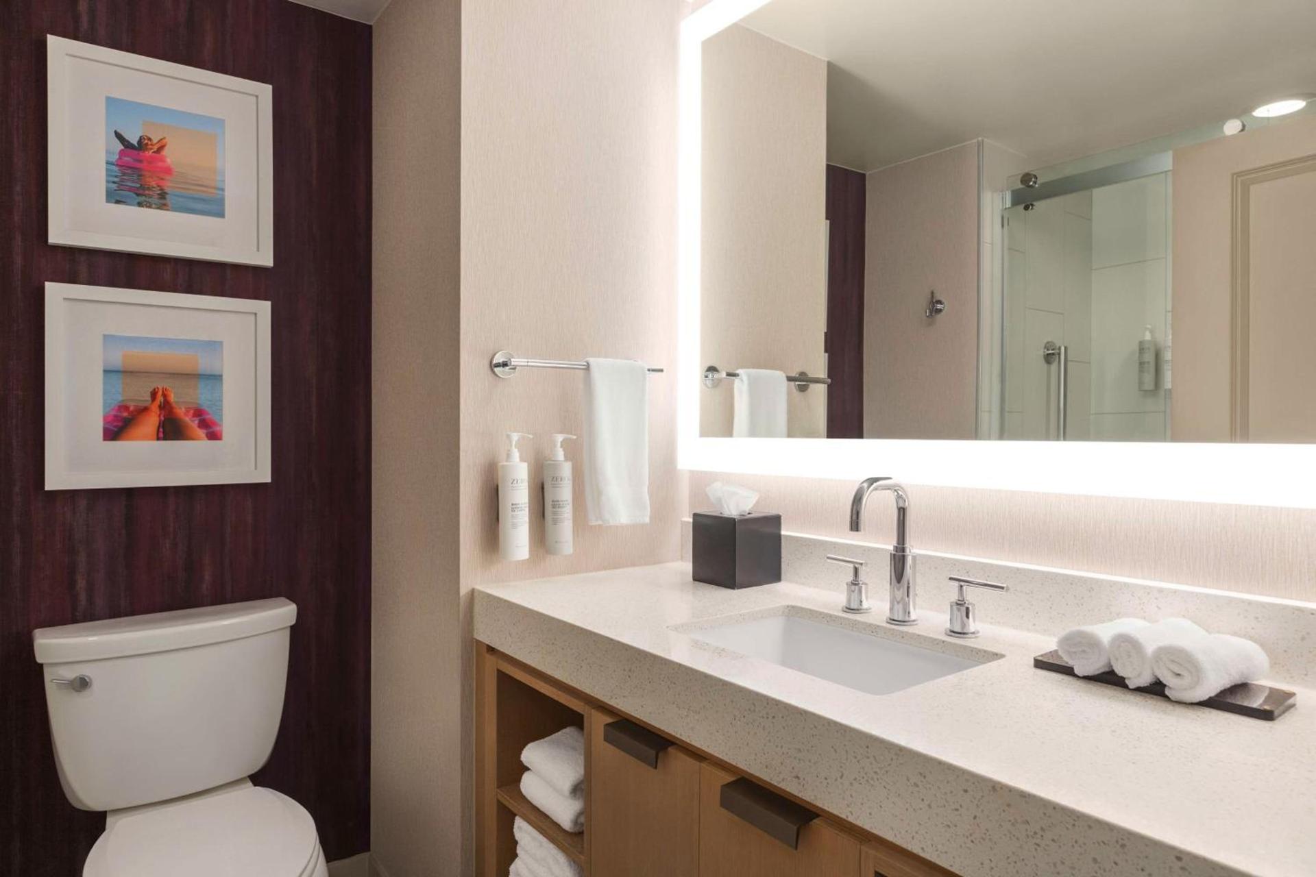 Embassy Suites by Hilton Tampa Downtown Convention Center photo 32