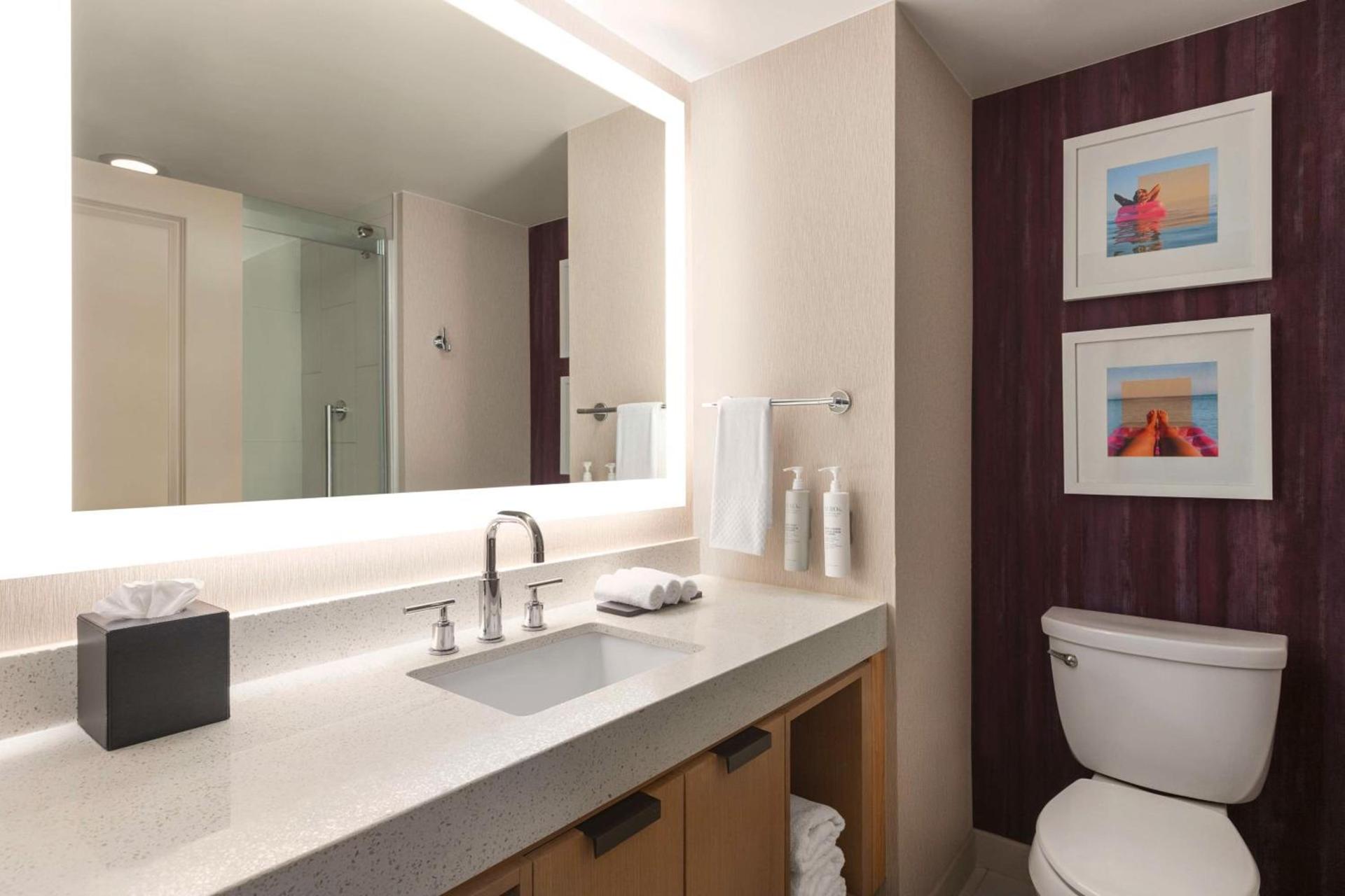Embassy Suites by Hilton Tampa Downtown Convention Center photo 48