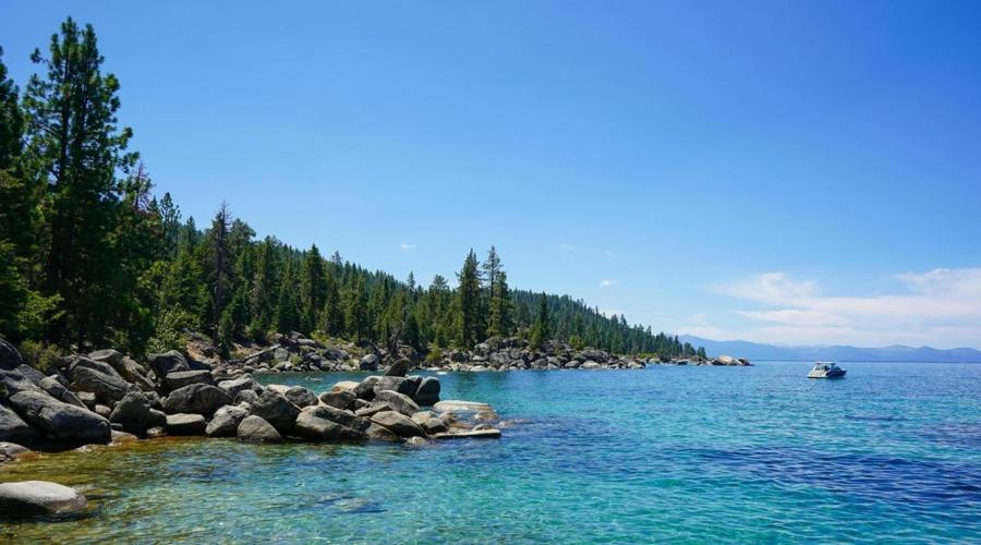 evo Hotel Tahoe City photo 8