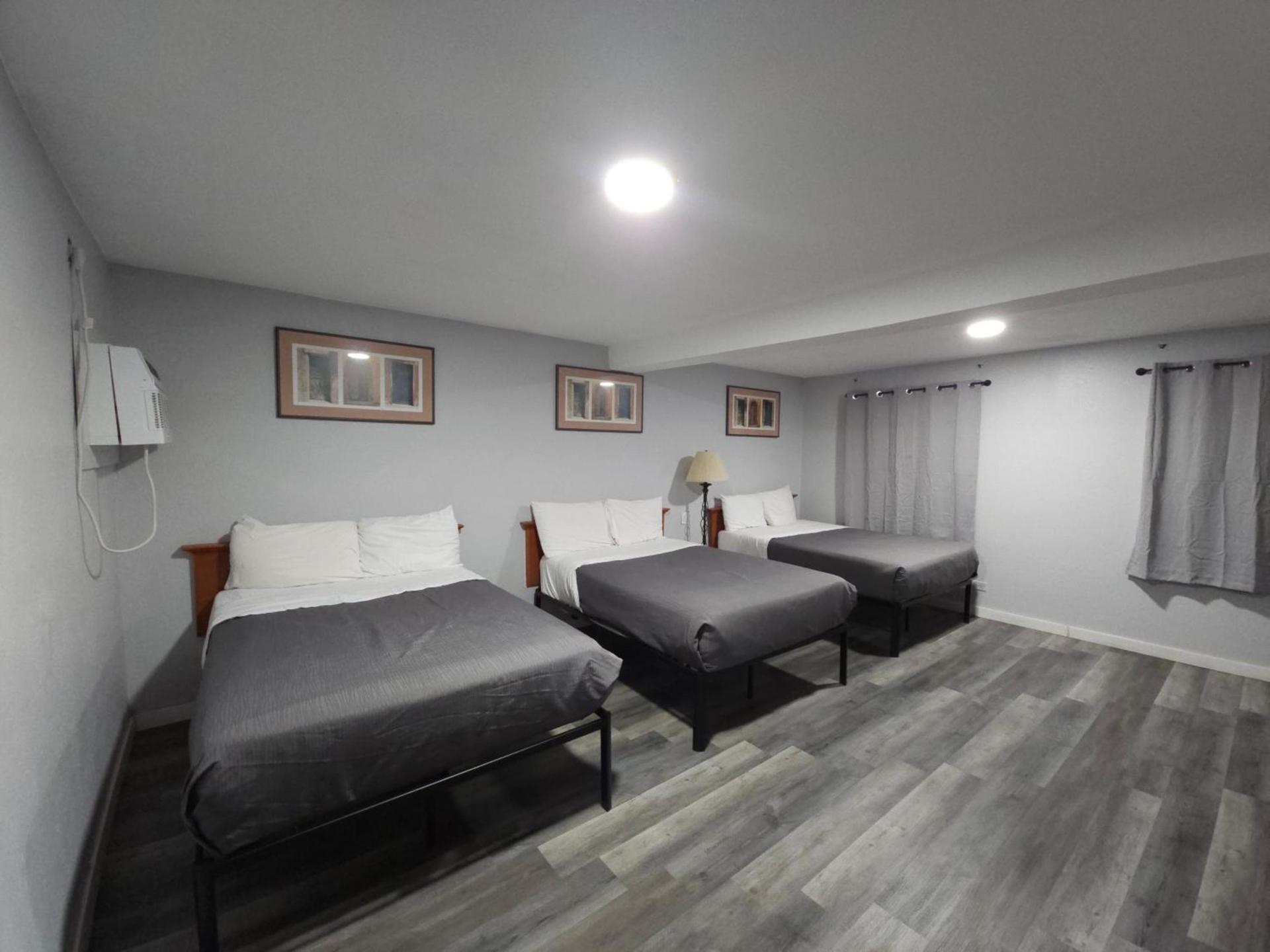 The L Motel Downtown/NAU Conference Center photo 6