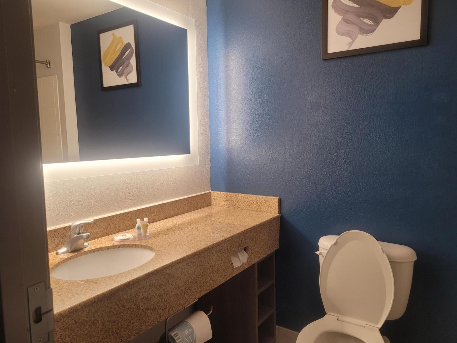 Comfort Inn & Suites Dothan Northside Plaza photo 30