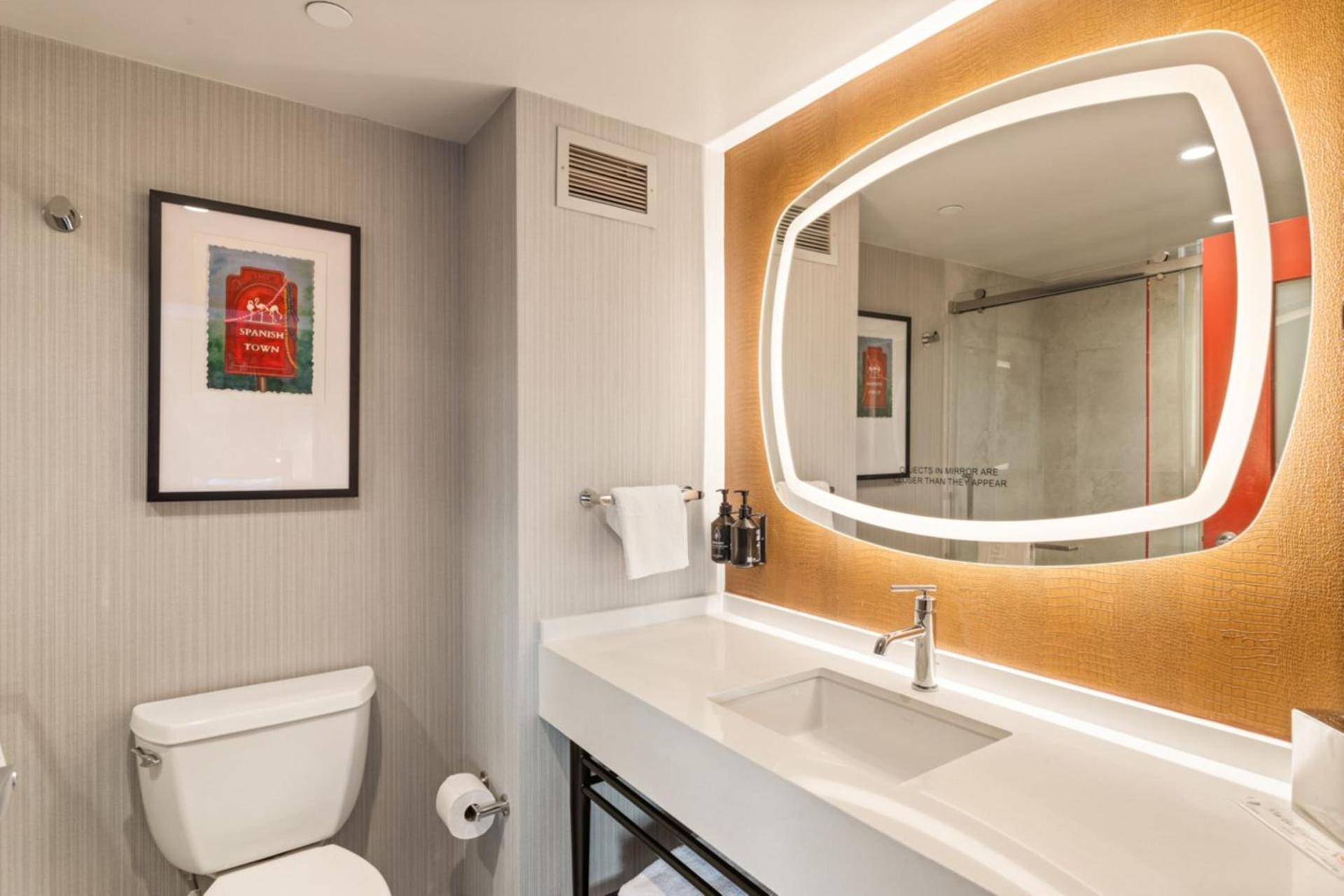 Hotel Indigo Baton Rouge Downtown by IHG photo 99