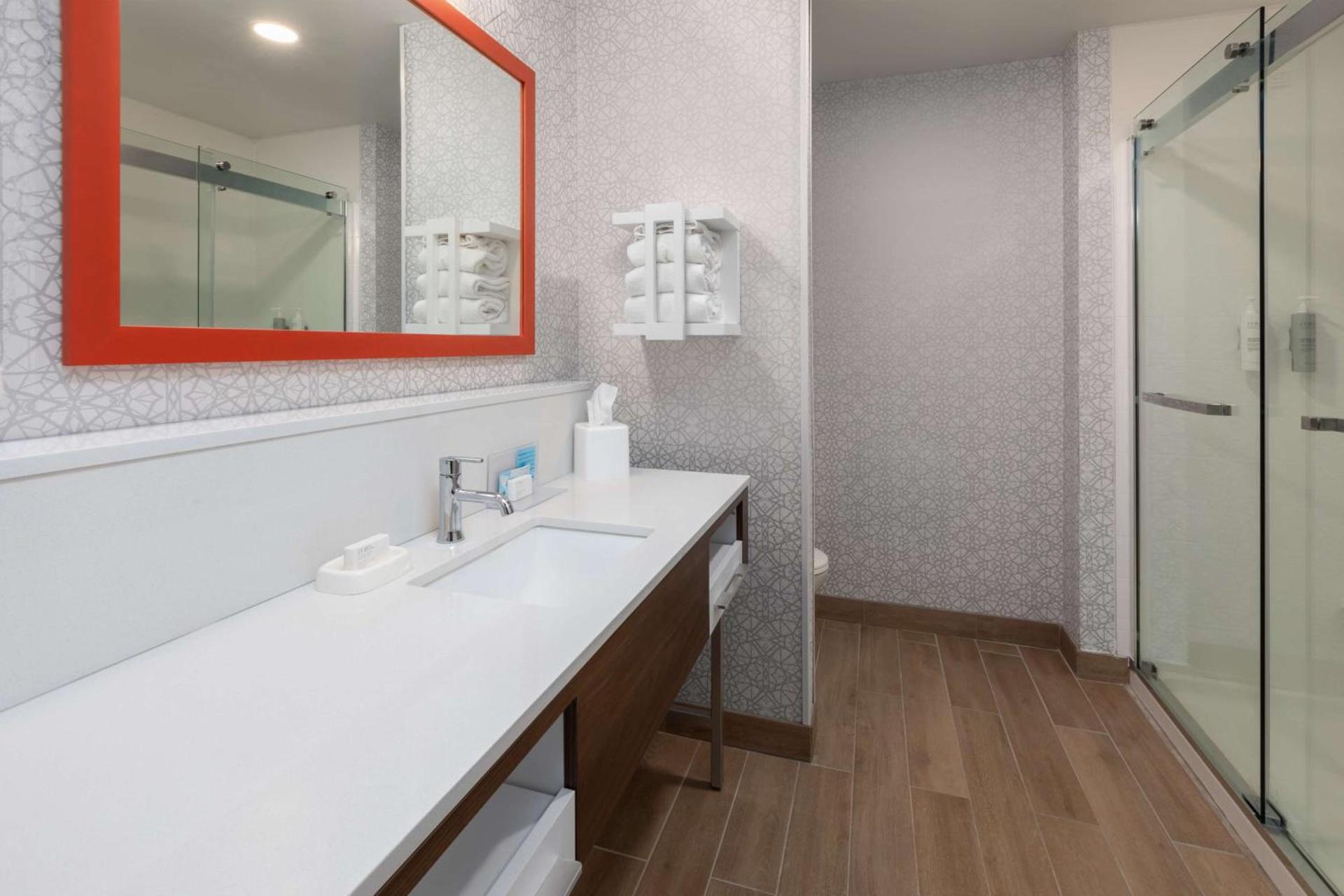 Hampton Inn & Suites Saginaw photo 26