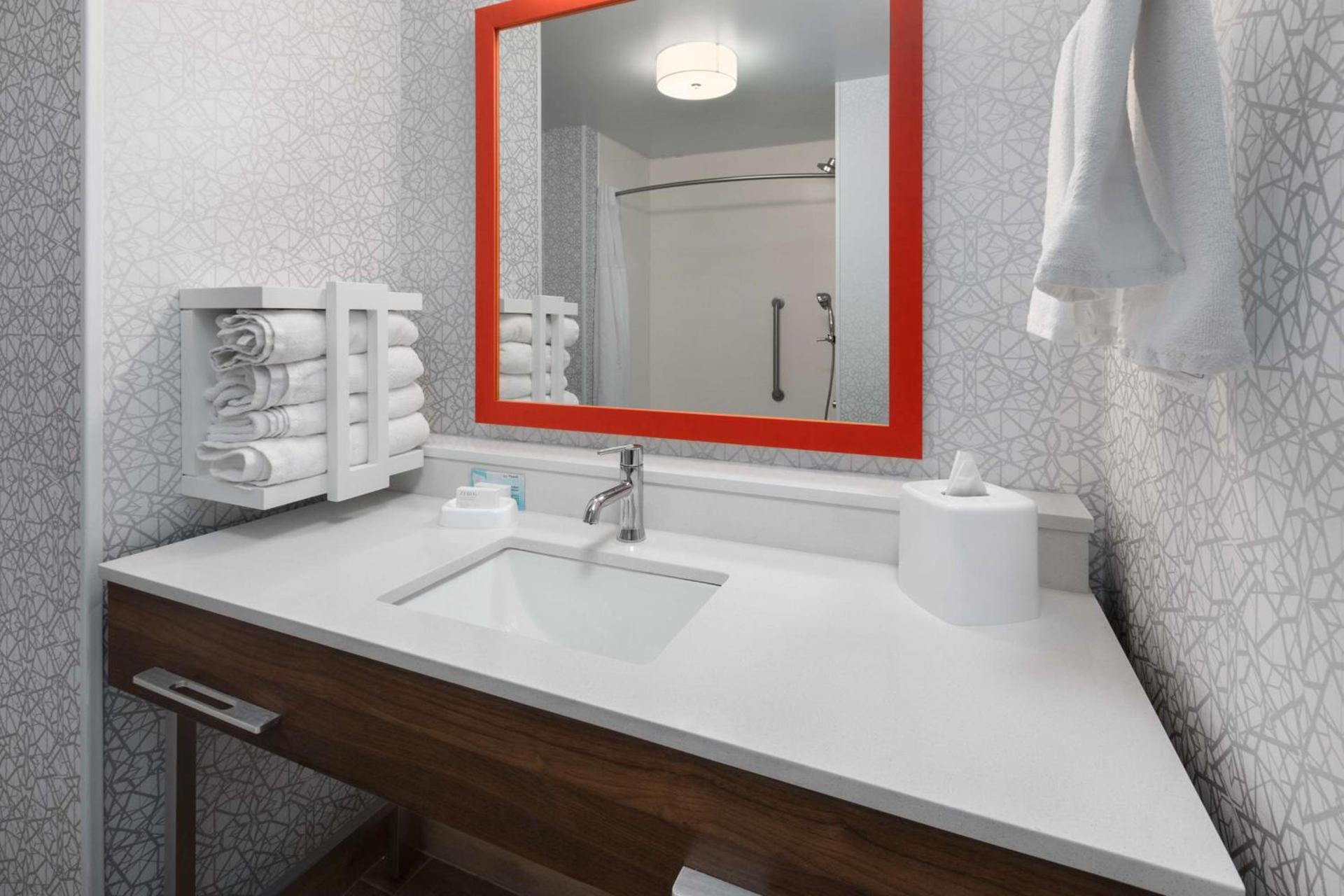 Hampton Inn & Suites Saginaw photo 34