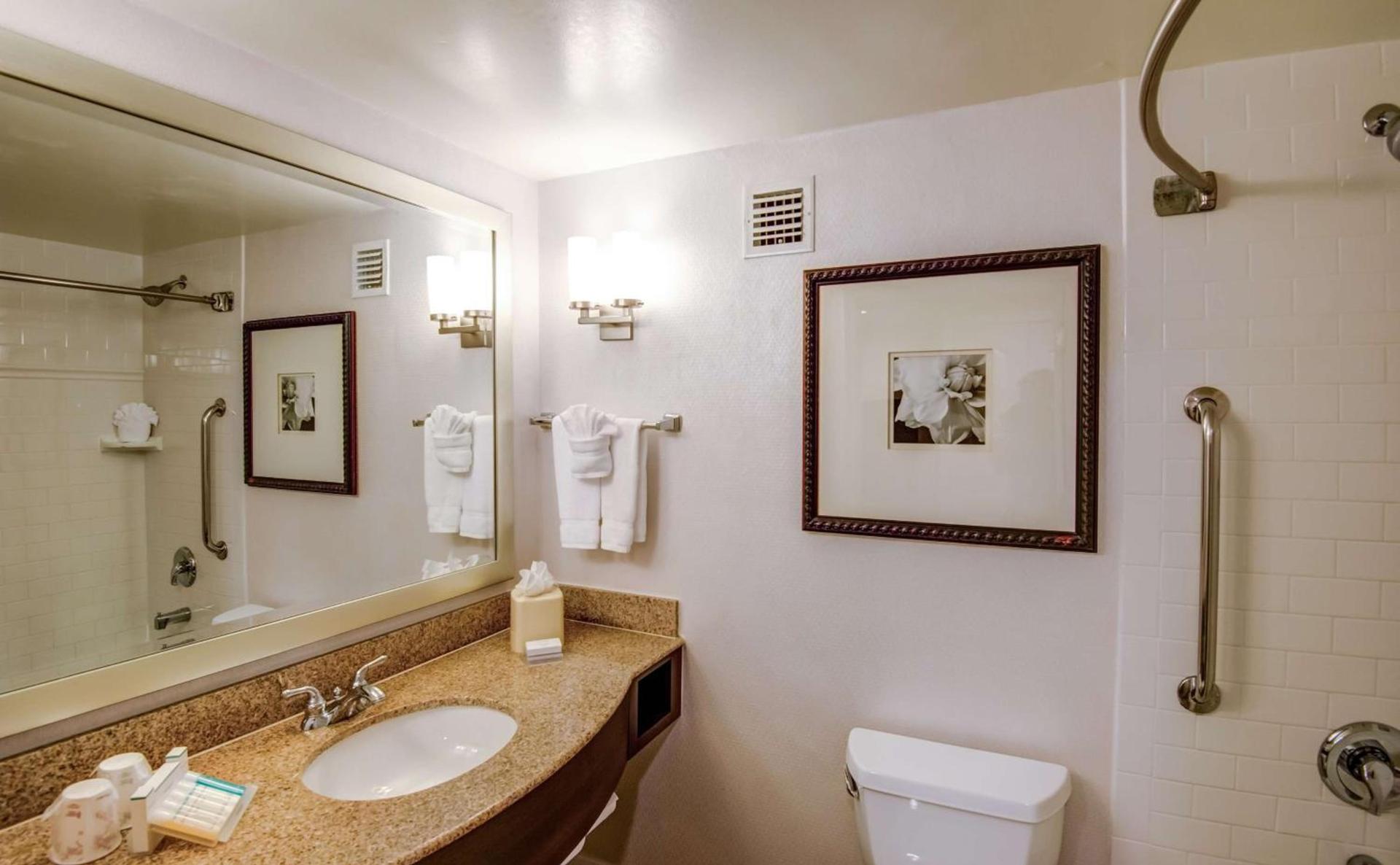 Hilton Garden Inn Tampa Ybor Historic District photo 10