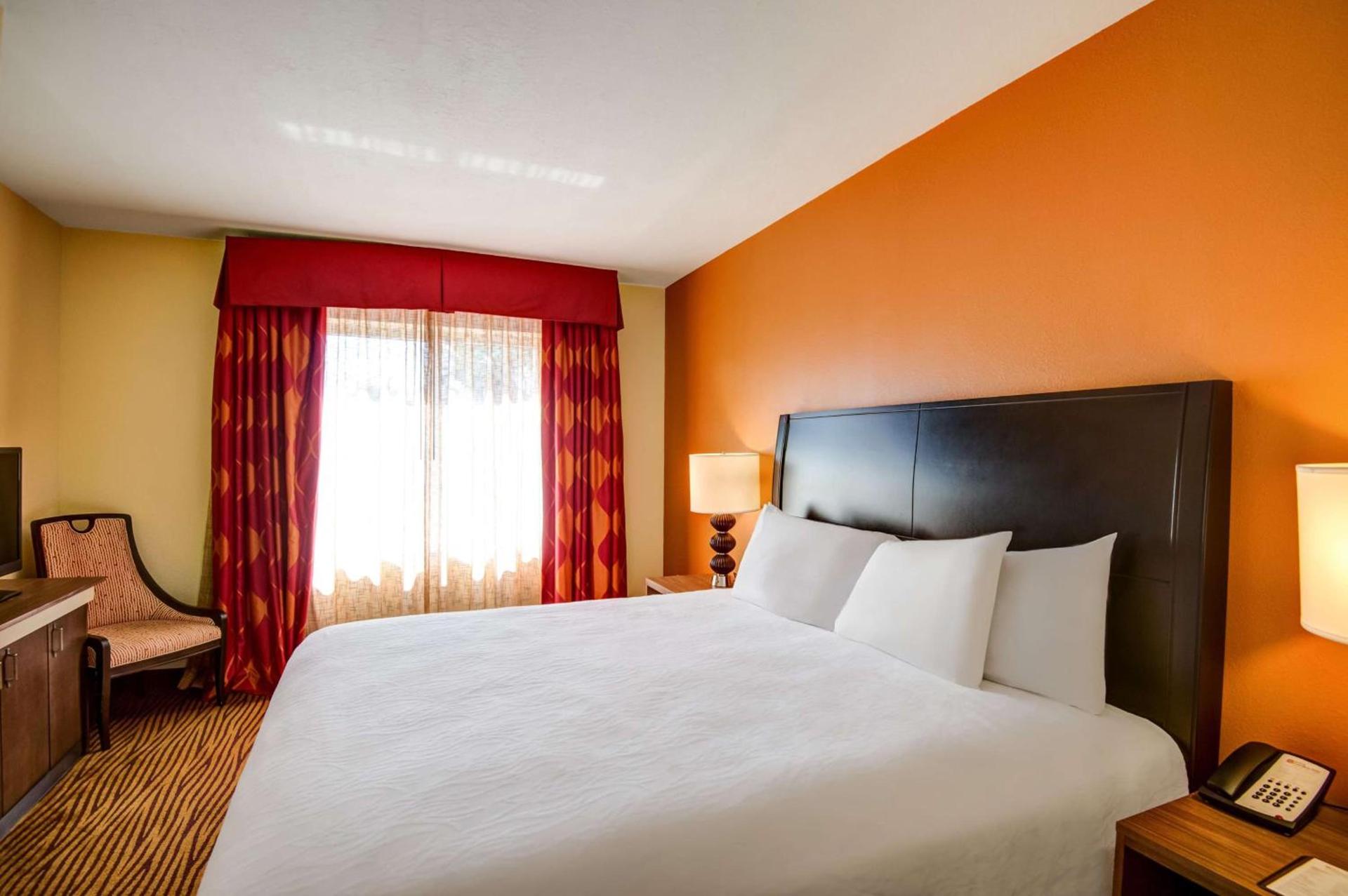 Hilton Garden Inn Tampa Ybor Historic District photo 12