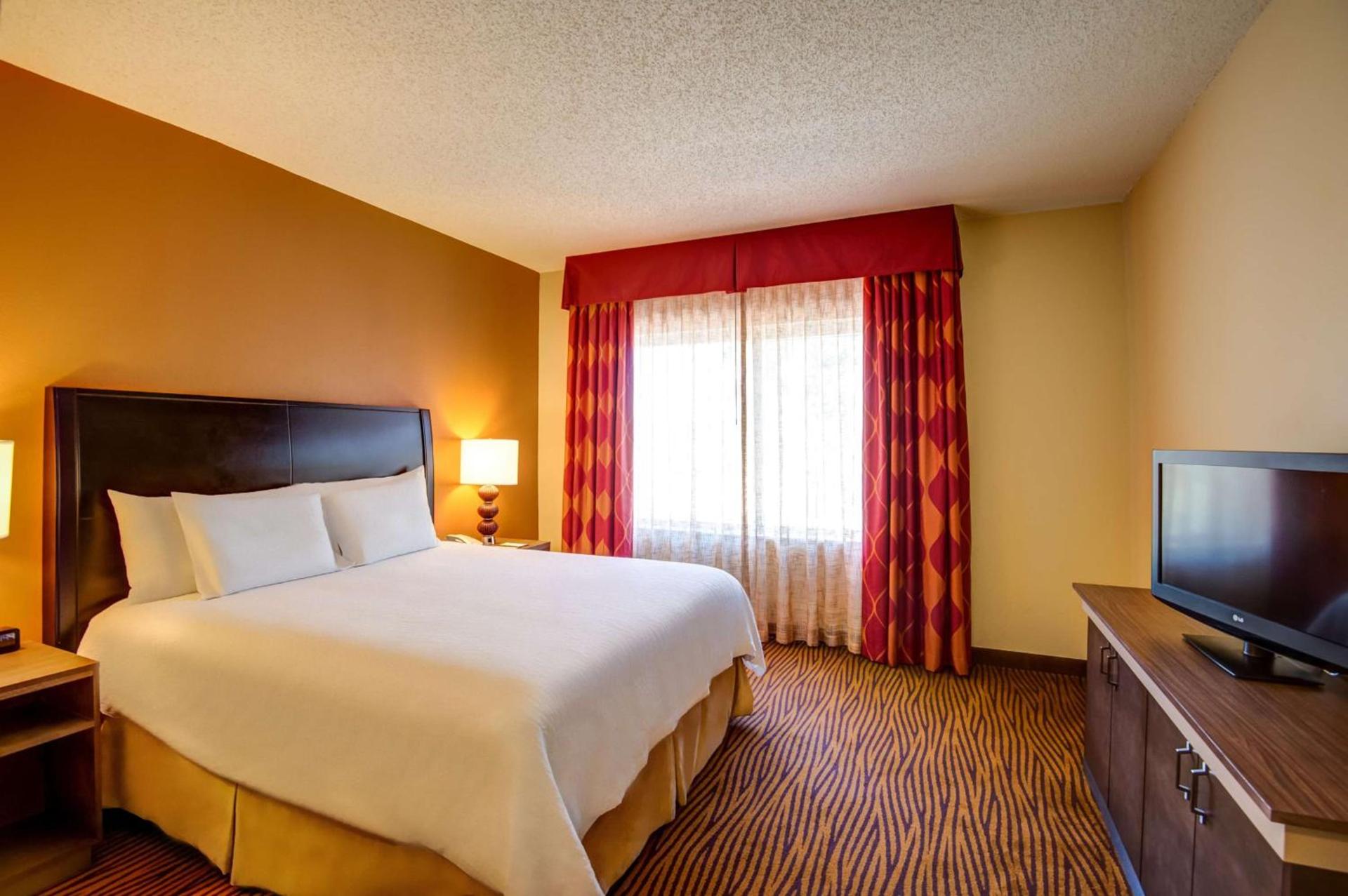 Hilton Garden Inn Tampa Ybor Historic District photo 22