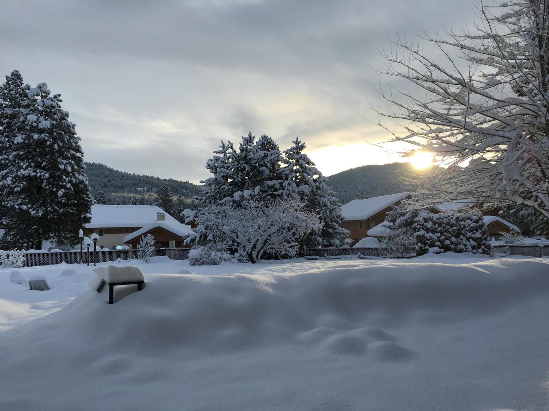 Blue Elk Inn photo 53