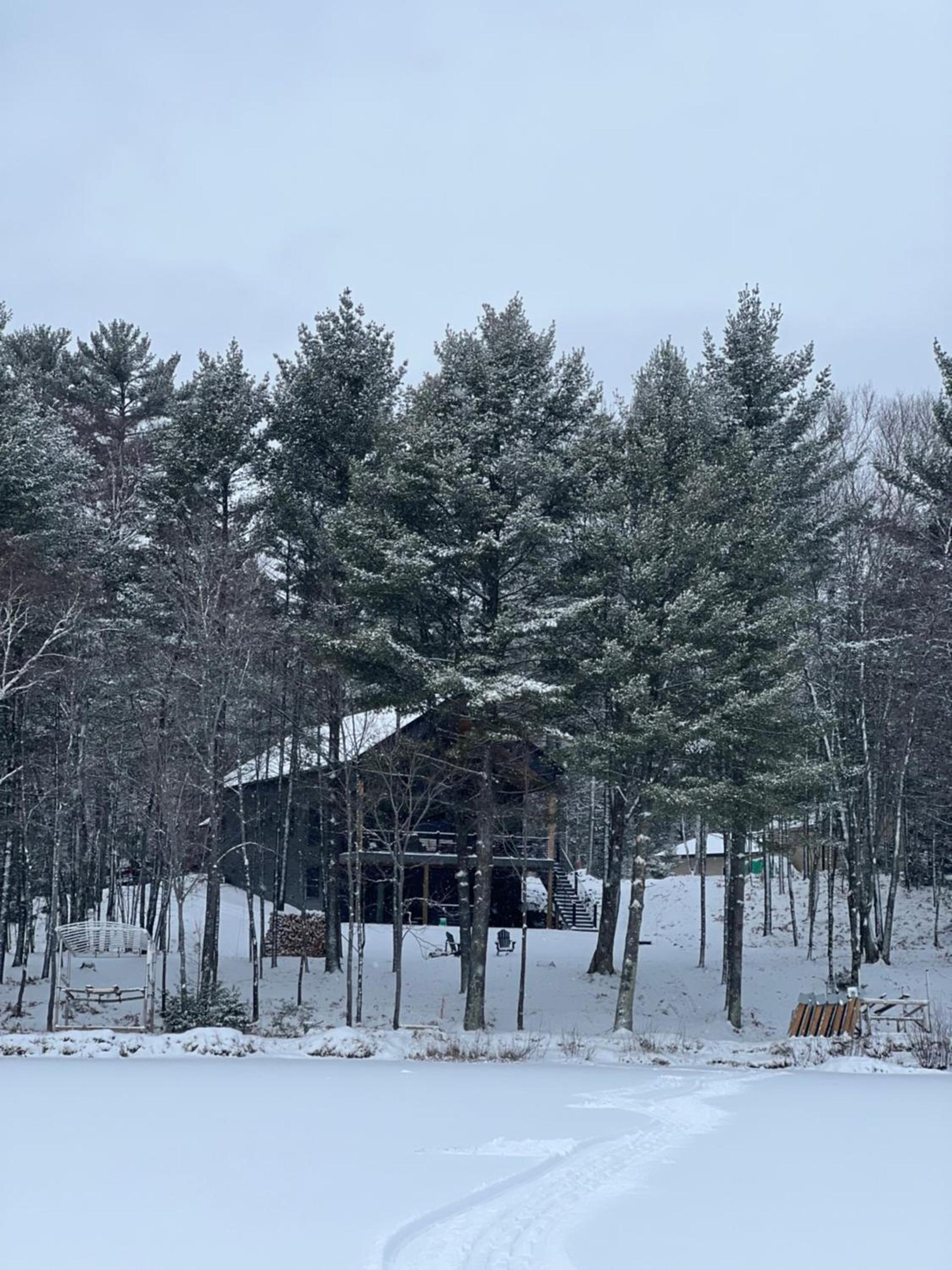 Black Bear Lodge photo 15