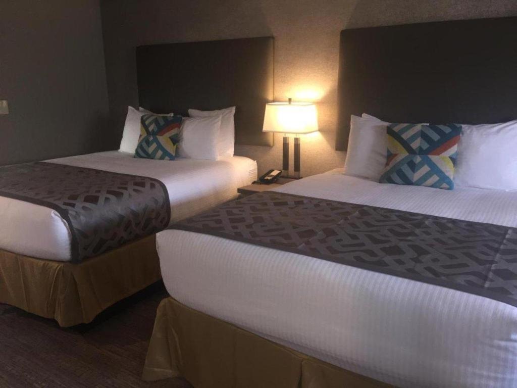 Arden Star Hotel photo 45