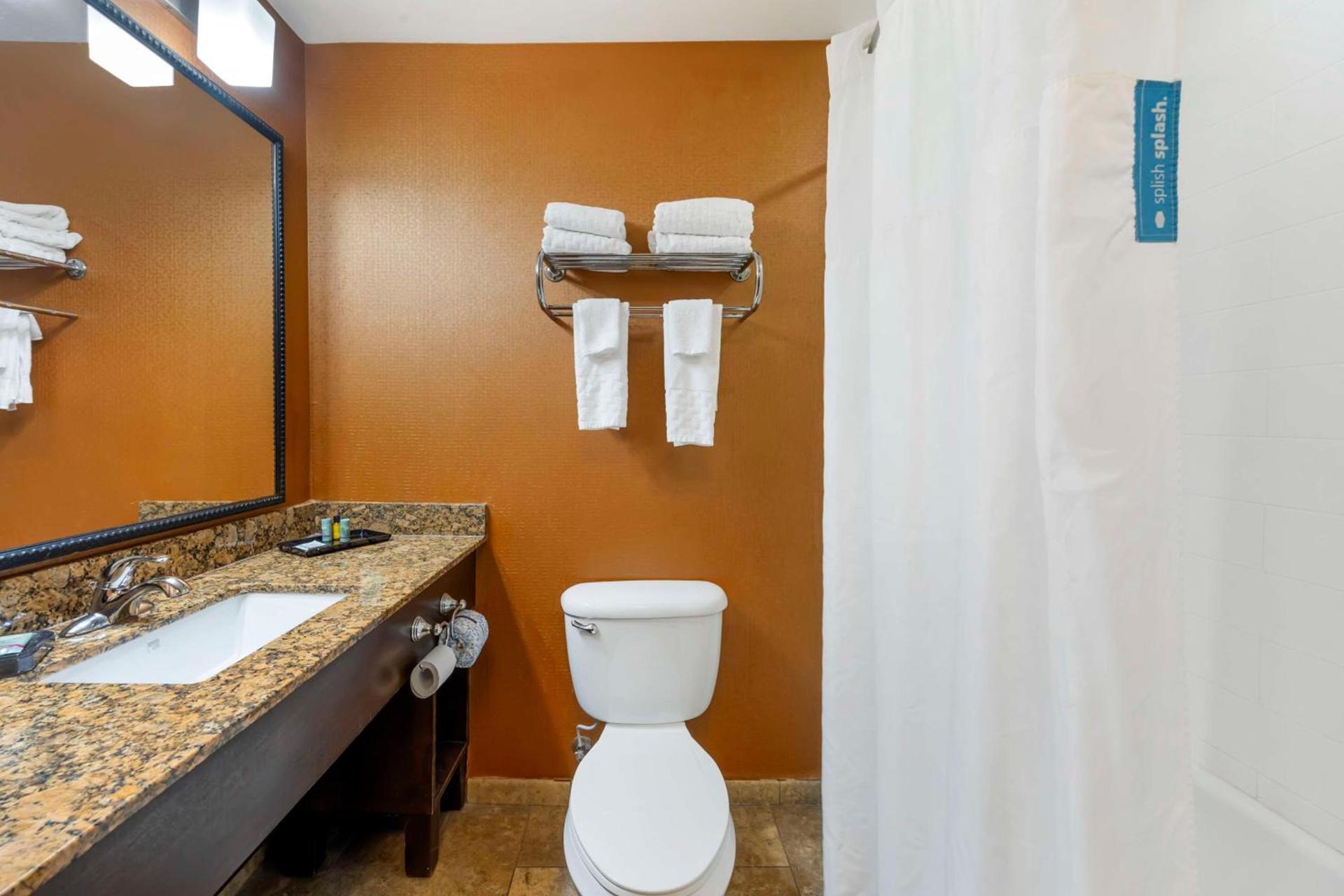 Best Western Plus Tupelo Inn & Suites photo 25