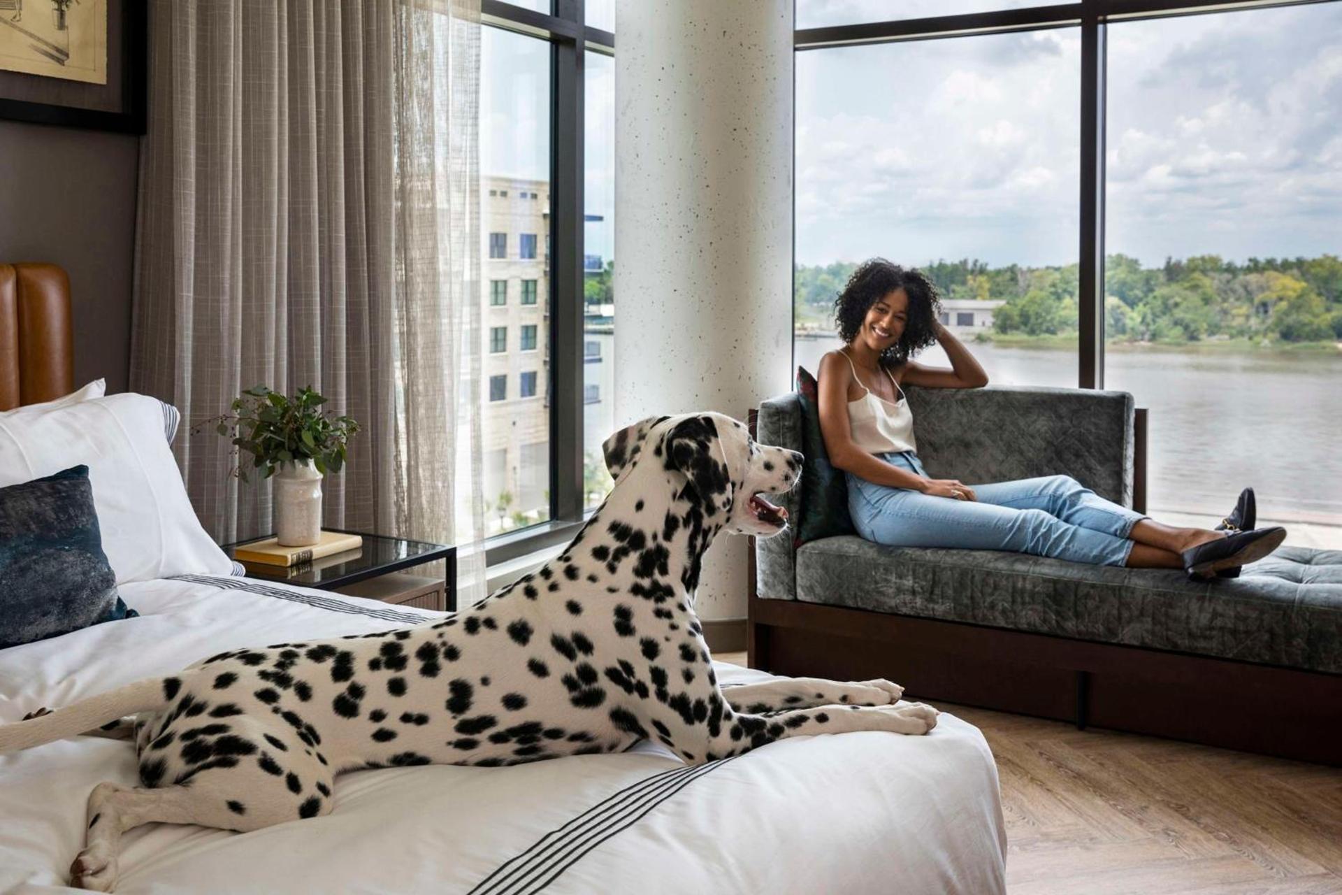 Thompson Savannah, by Hyatt photo 65