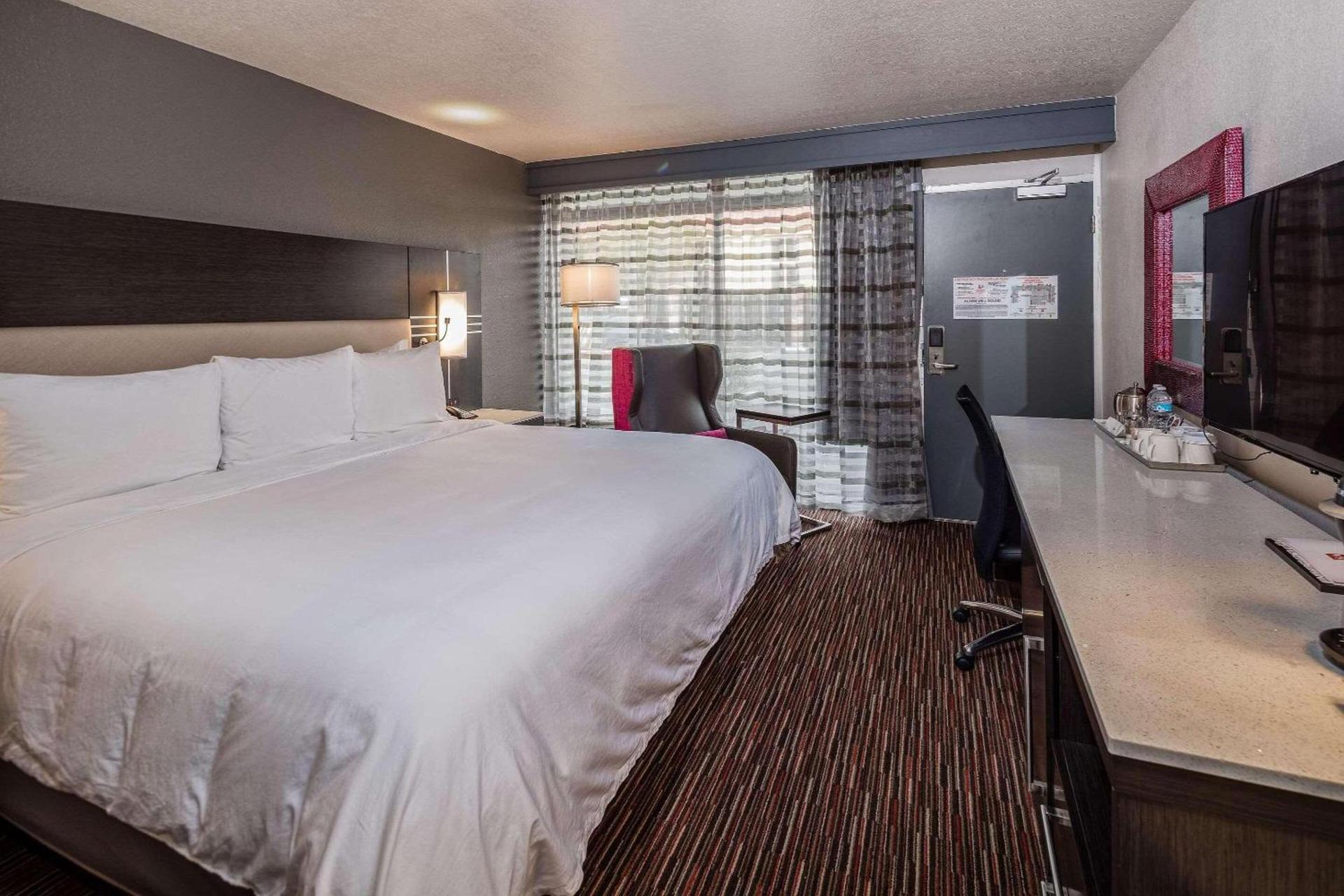 Radisson Hotel Oakland Airport photo 40