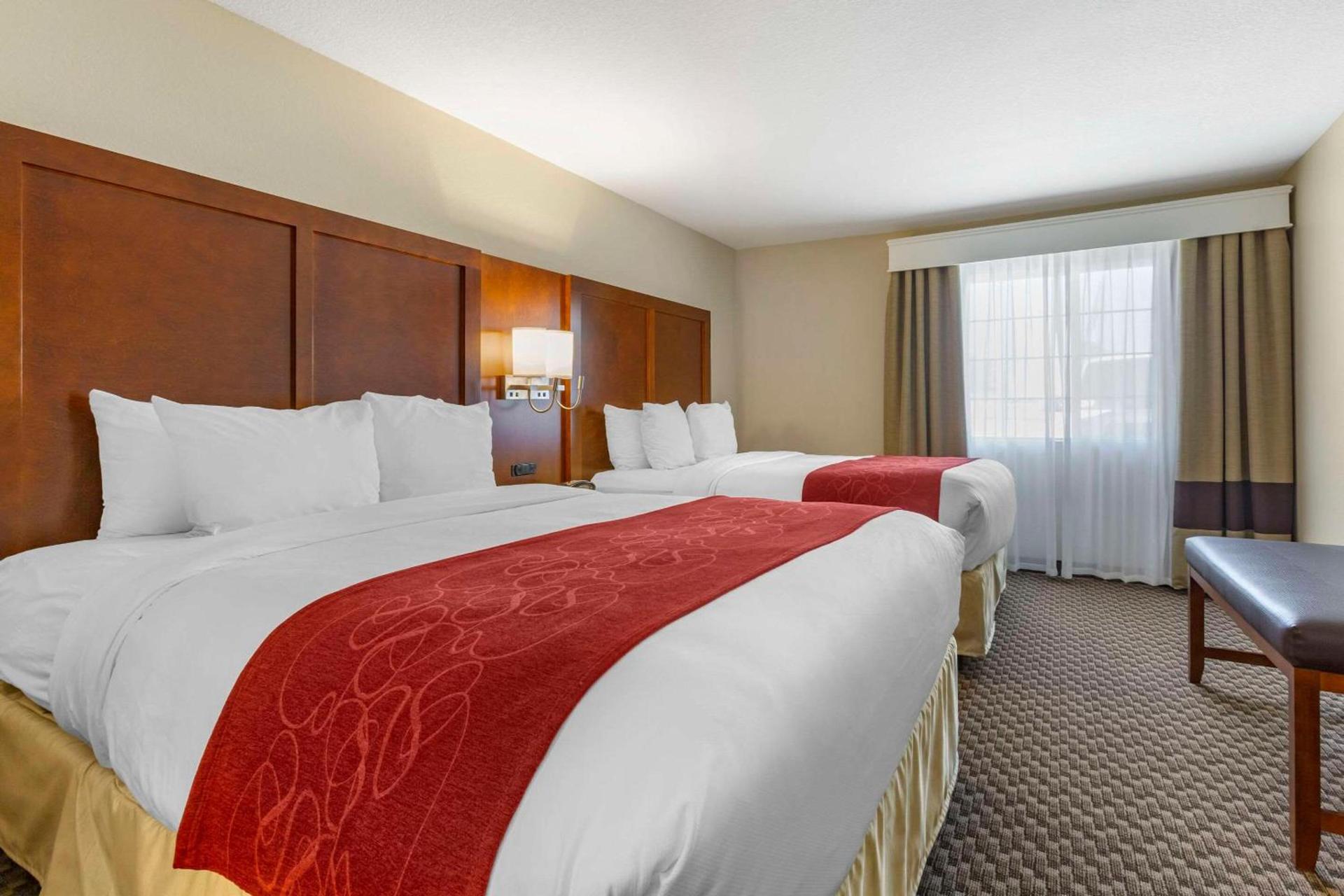 Spark by Hilton Tempe Phoenix Airport photo 19