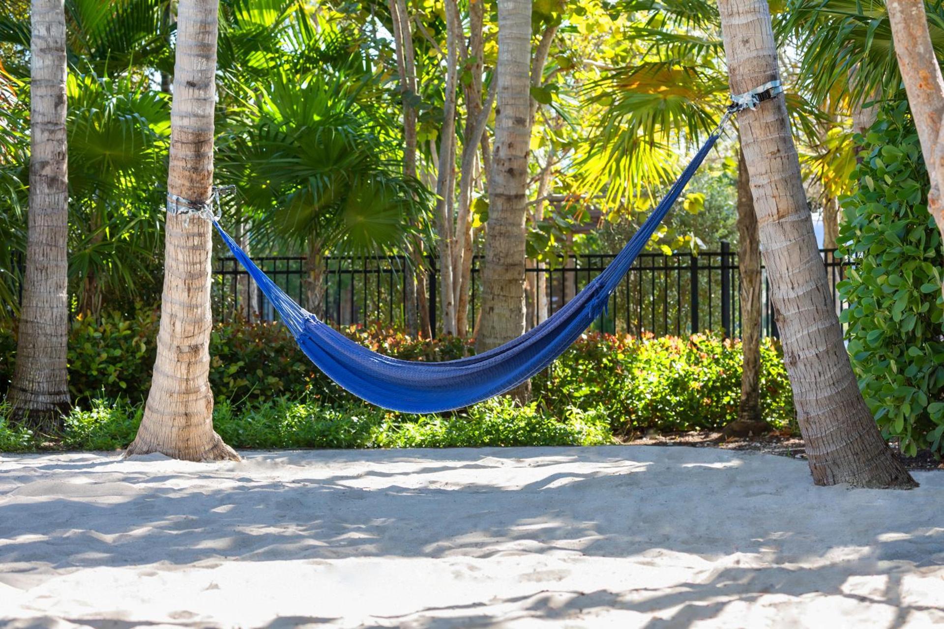 Blue Flamingo Resort Key West photo 58
