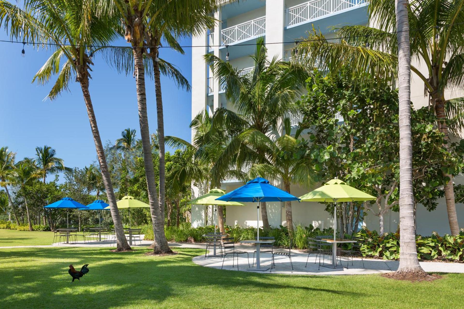 Blue Flamingo Resort Key West photo 66