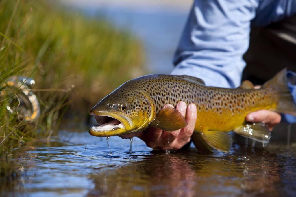Beautiful Lodge And Private 600 Acre Canyon Paradise photo 4