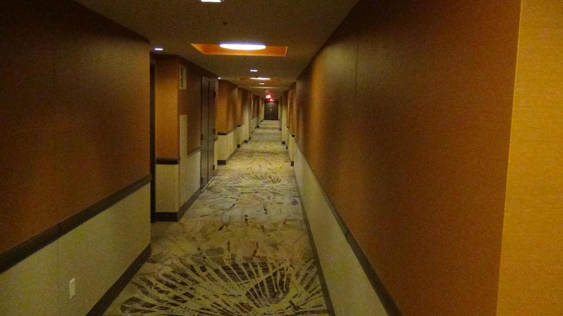 Suites at Elara Las Vegas Center Strip-No Resort Fees photo 49