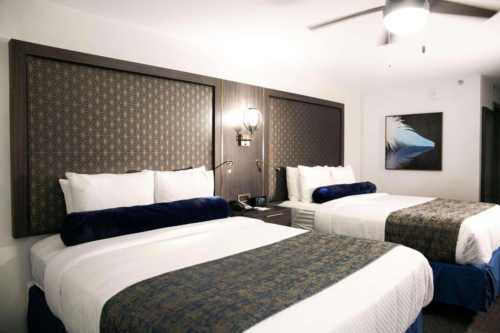 Verta Hotel McAllen photo 21
