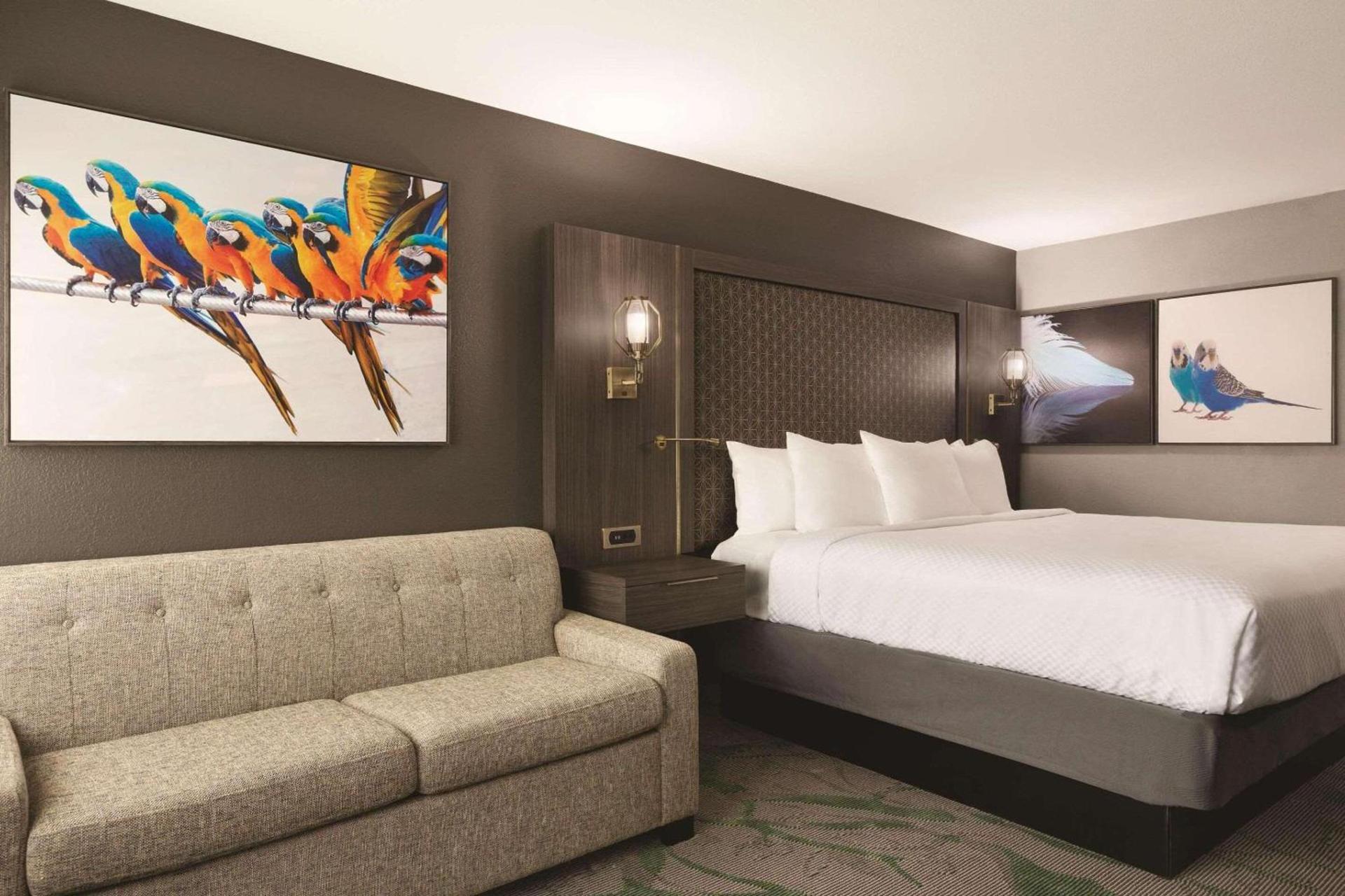 Verta Hotel McAllen photo 25