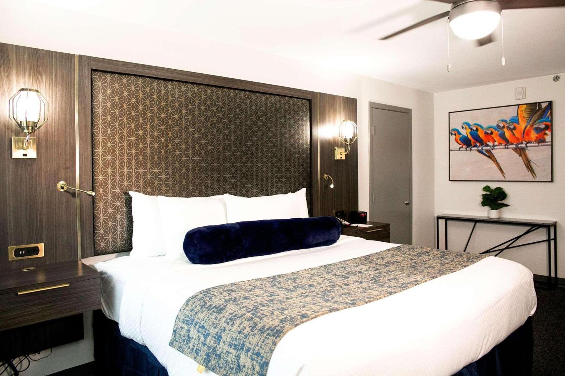 Verta Hotel McAllen photo 15