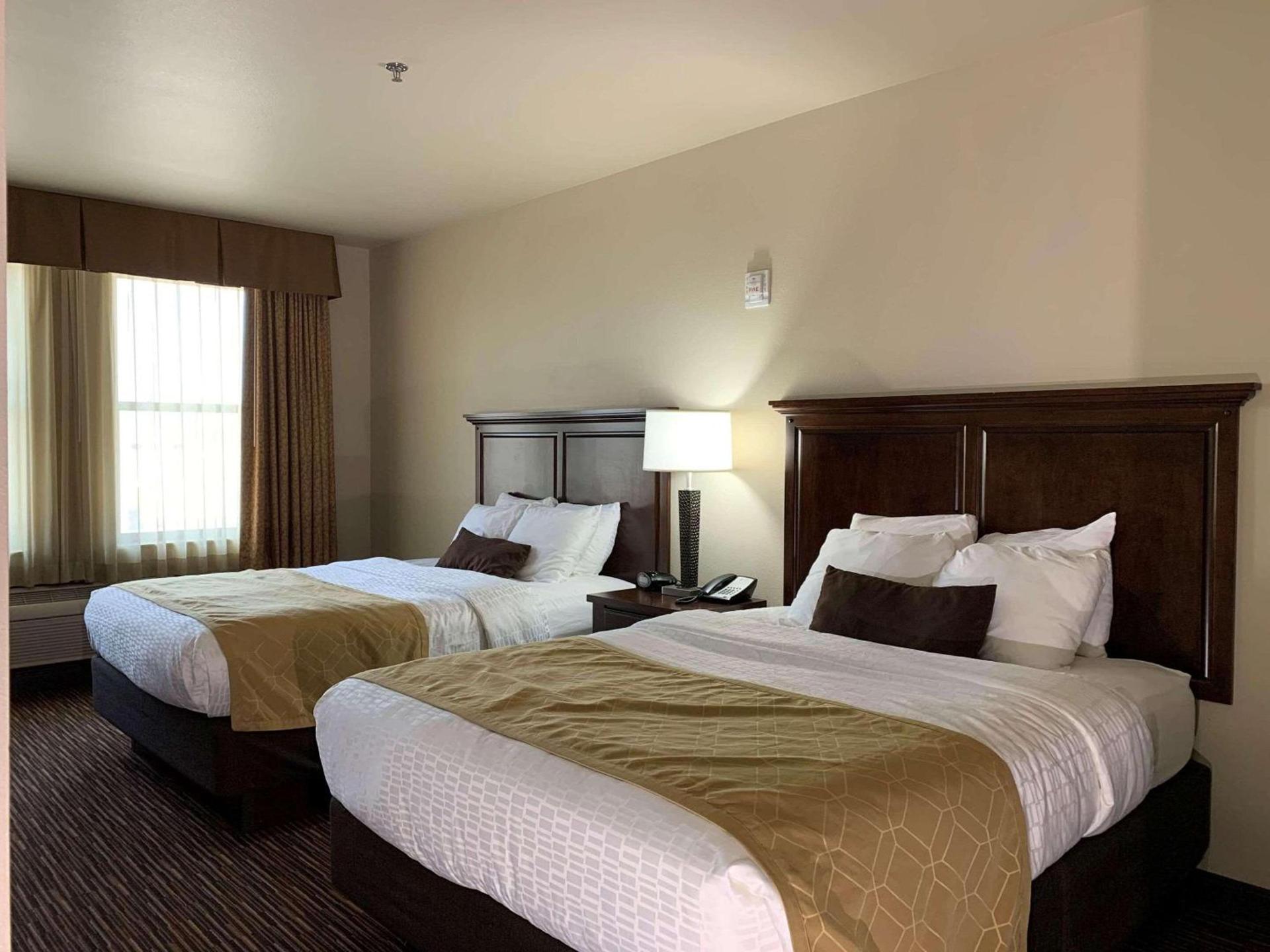 Radisson Hotel River Falls photo 5
