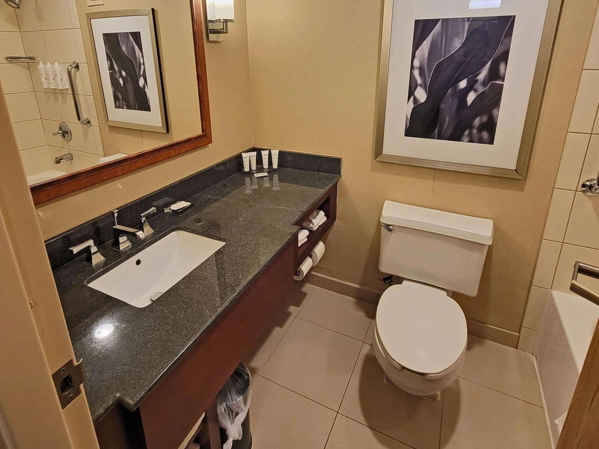 Radisson Hotel Cedar Rapids photo 11