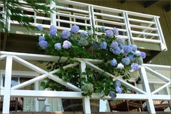 Narrow Gauge Inn photo 61