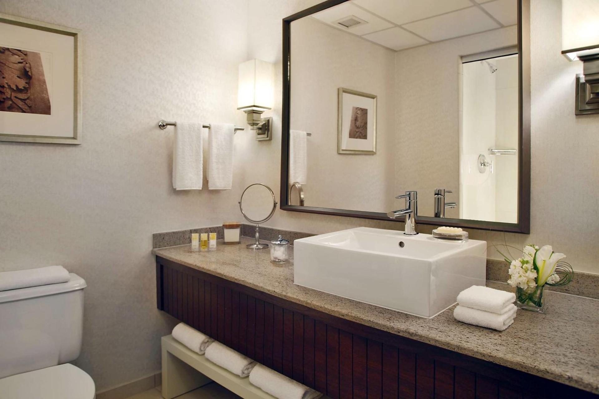 Hyatt Regency Saint Louis at The Arch photo 9
