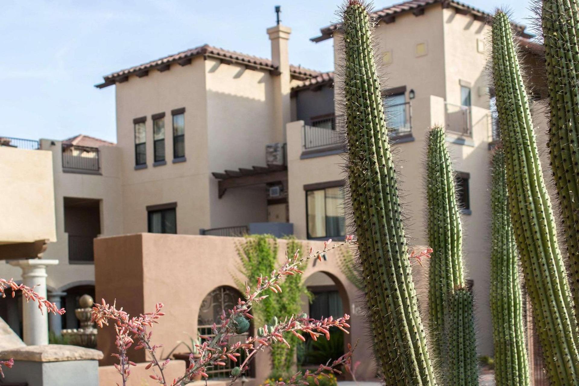 Bluegreen Vacations Cibola Vista Resort and Spa, an Ascend Collection Resort photo 4