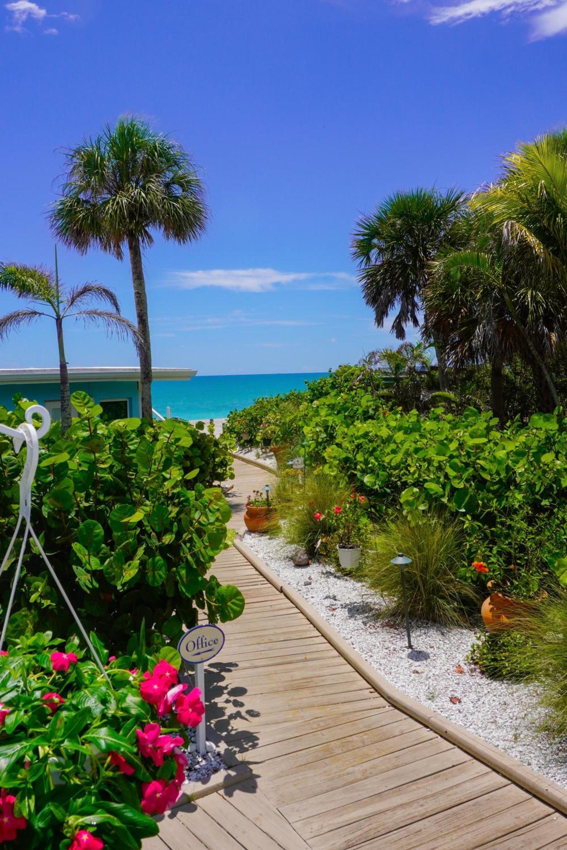 The Pearl Beach Inn photo 97
