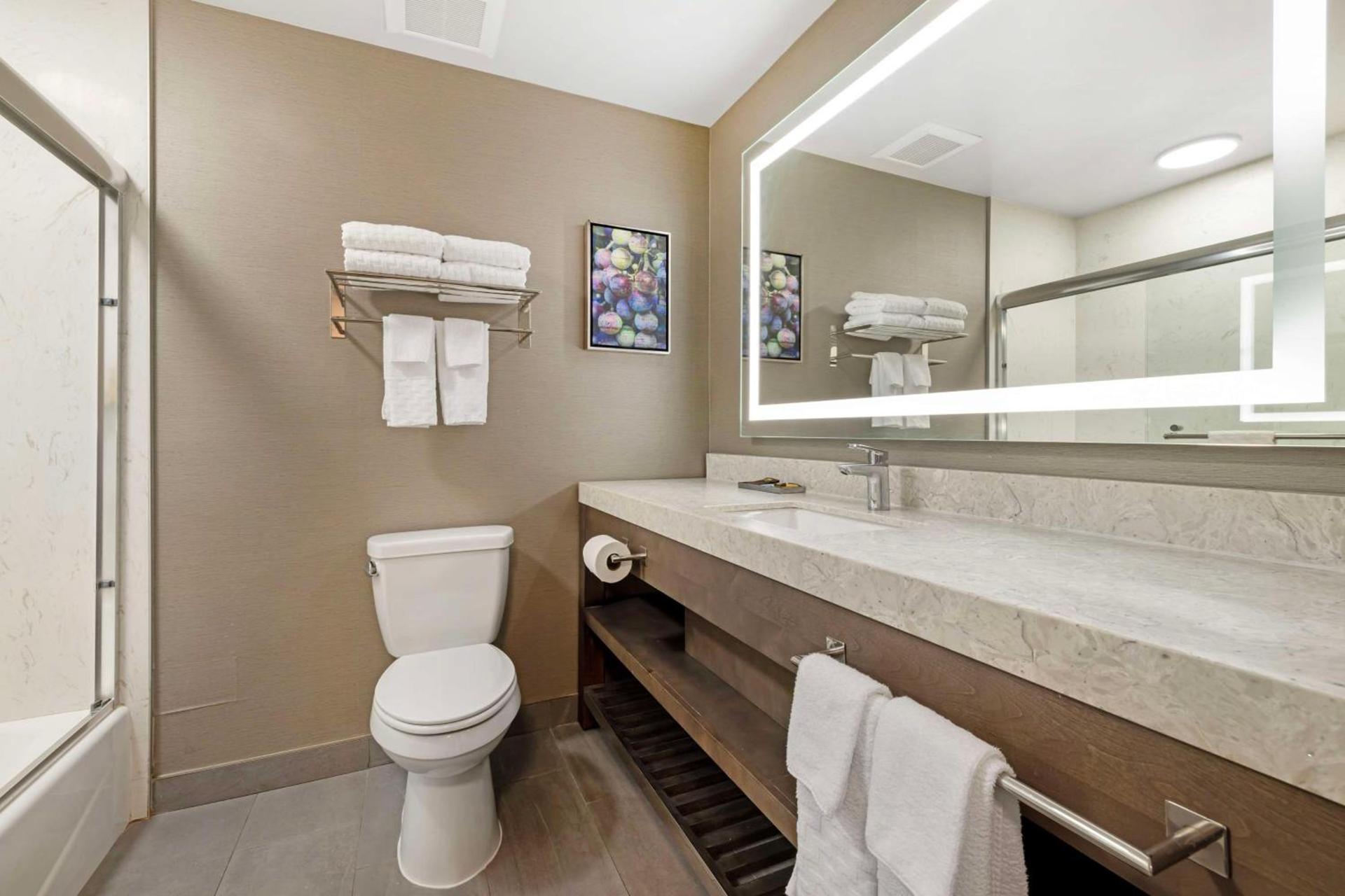 Best Western Plus Temecula Wine Country Hotel & Suites photo 33