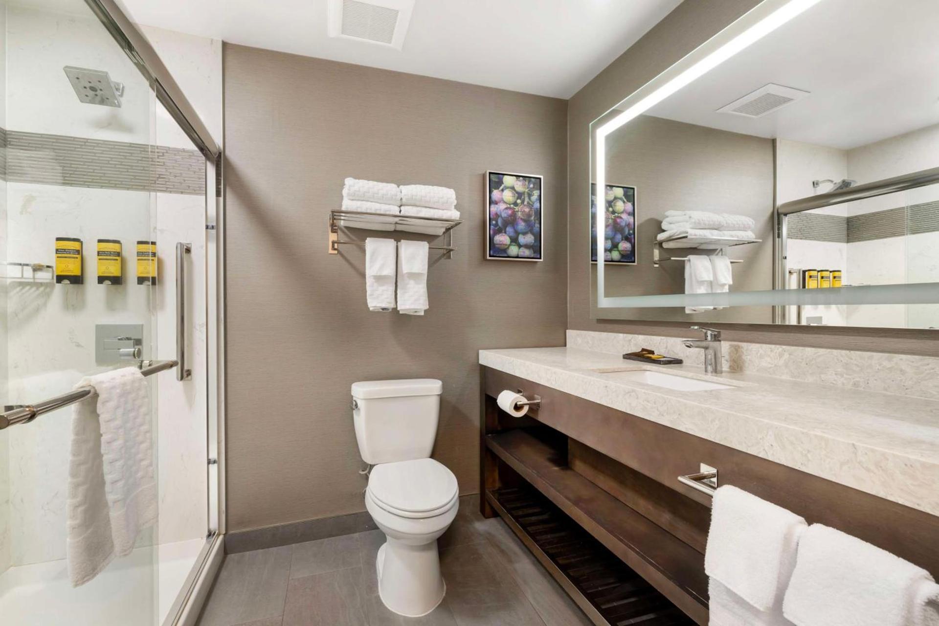 Best Western Plus Temecula Wine Country Hotel & Suites photo 34
