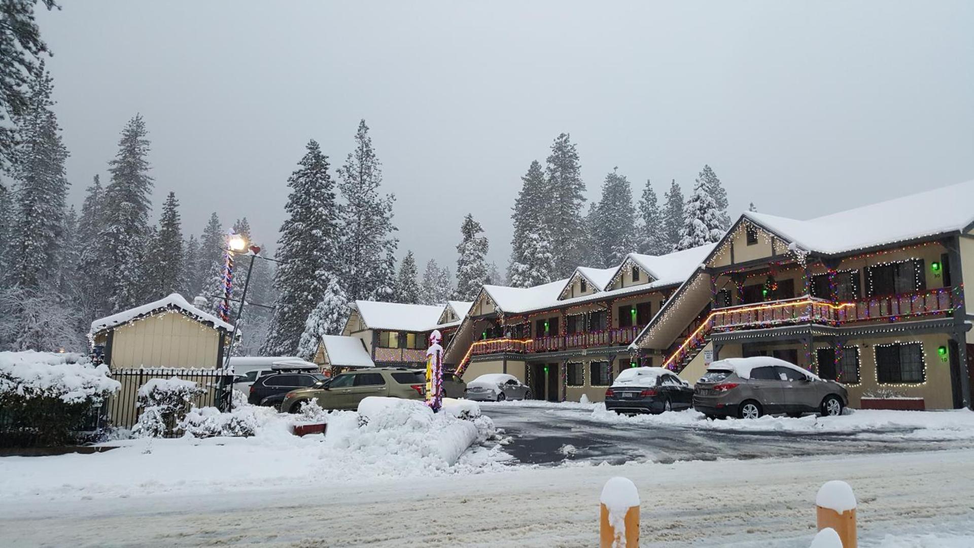 Wildwood Inn photo 2
