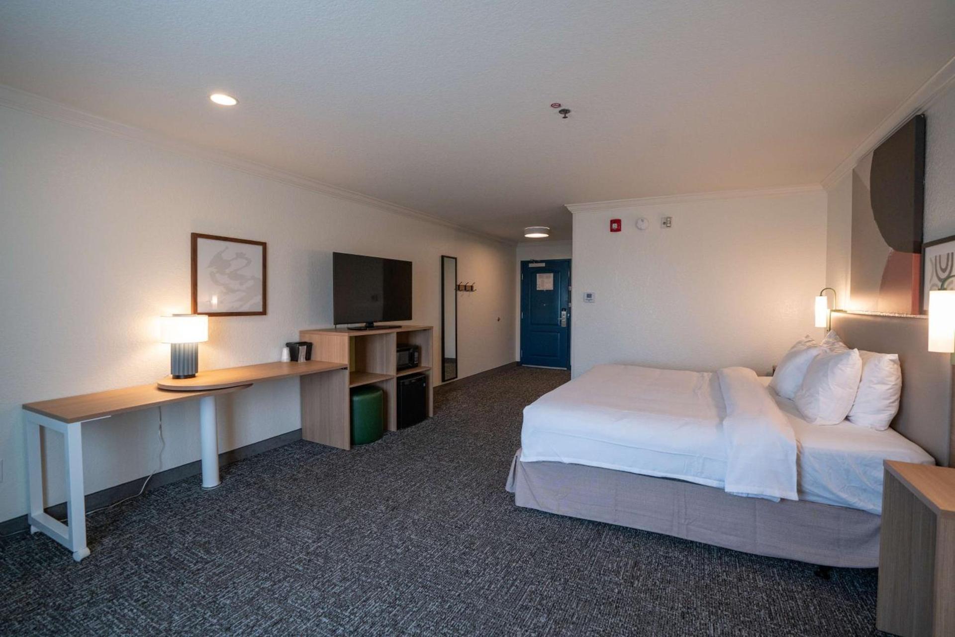 Spark by Hilton Brandon photo 14
