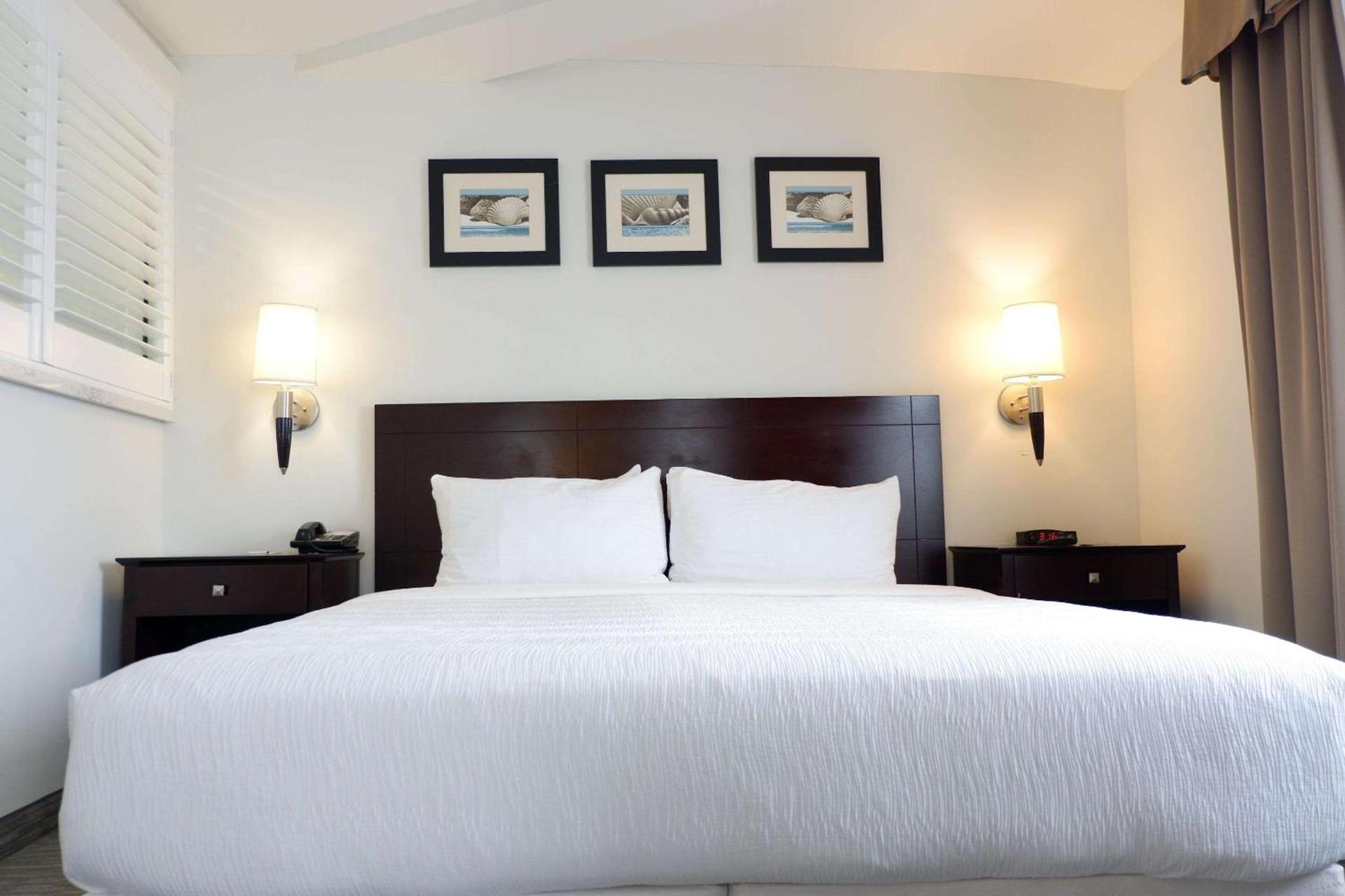 The Volare, an Ascend Collection Hotel photo 43