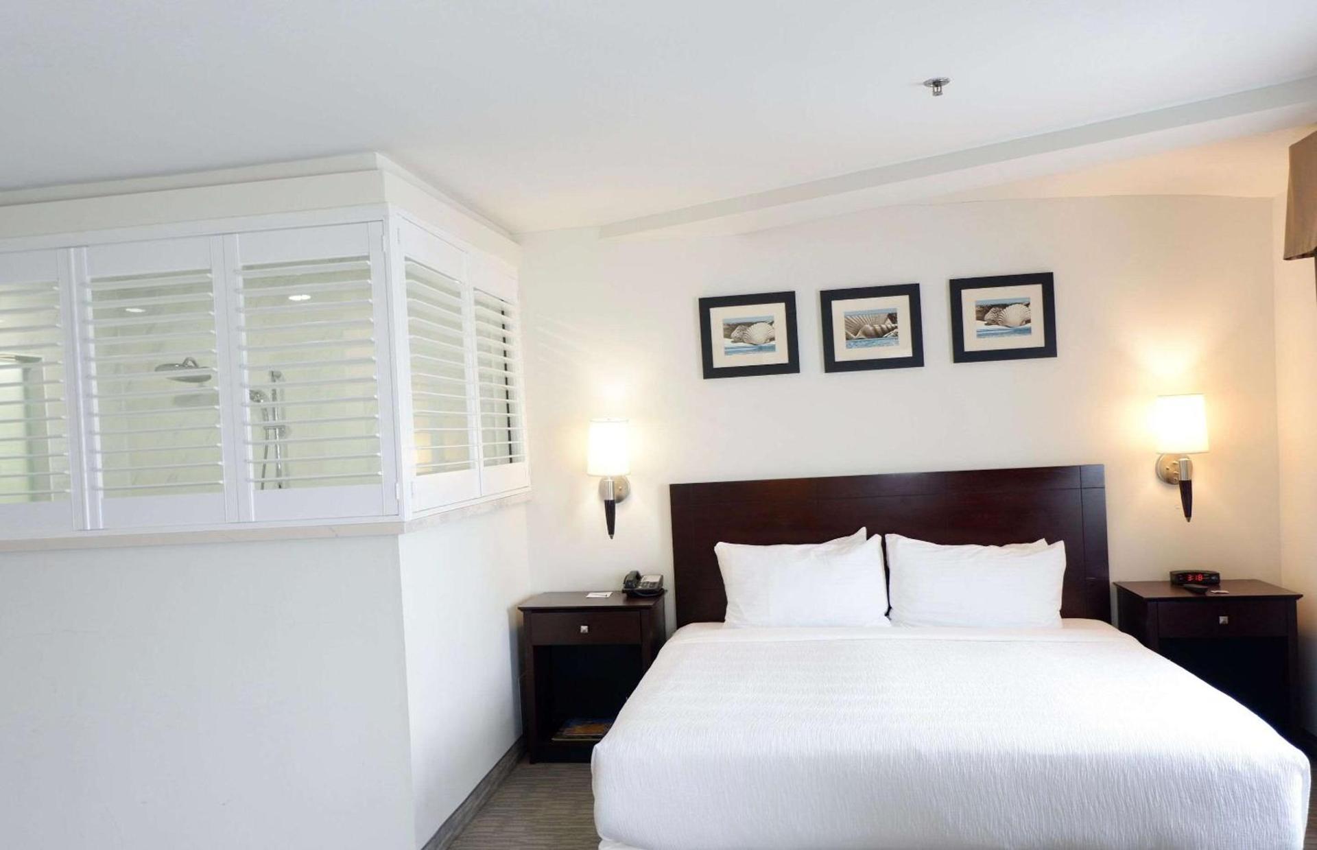 The Volare, an Ascend Collection Hotel photo 44