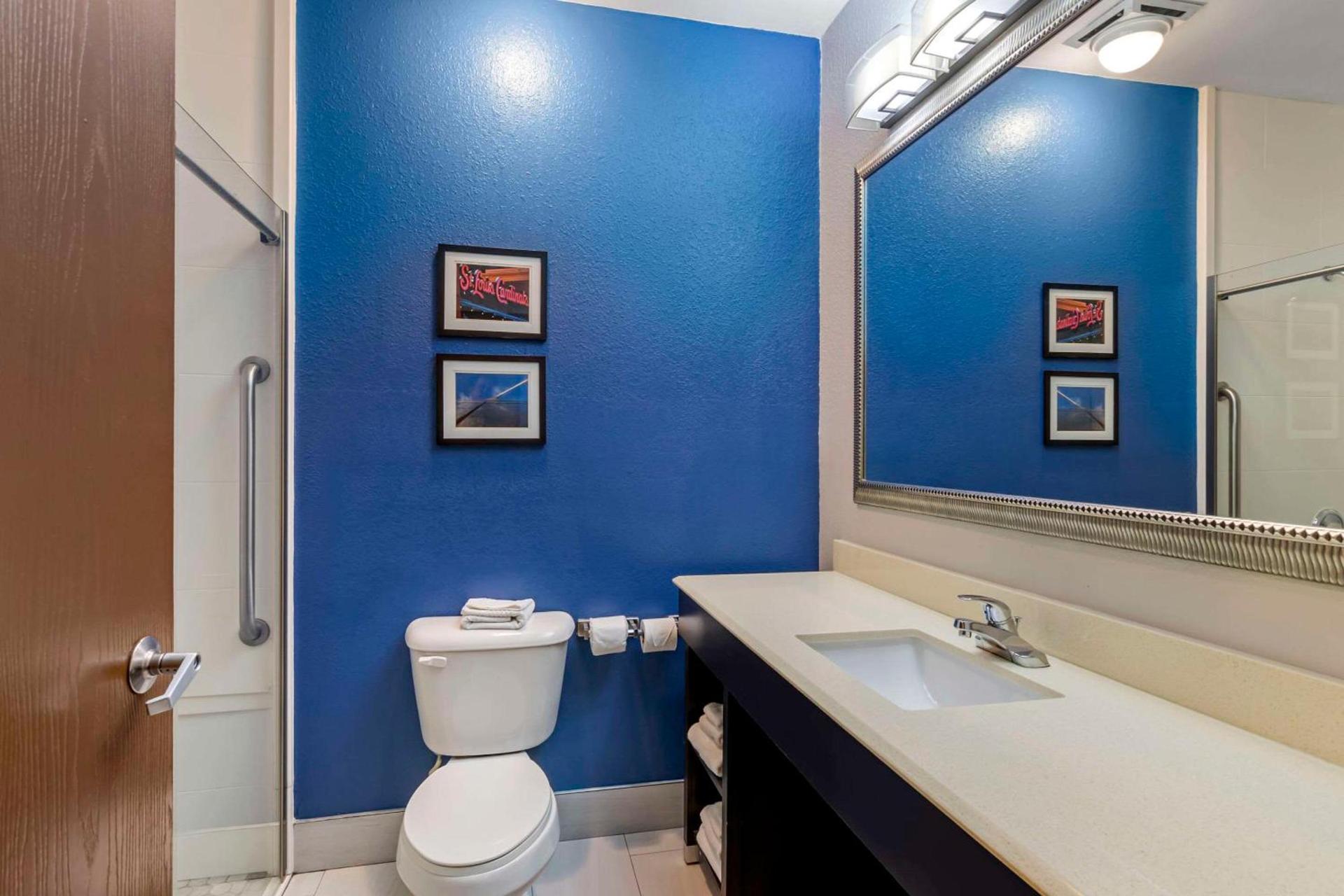 Comfort Suites St Charles-St Louis photo 10