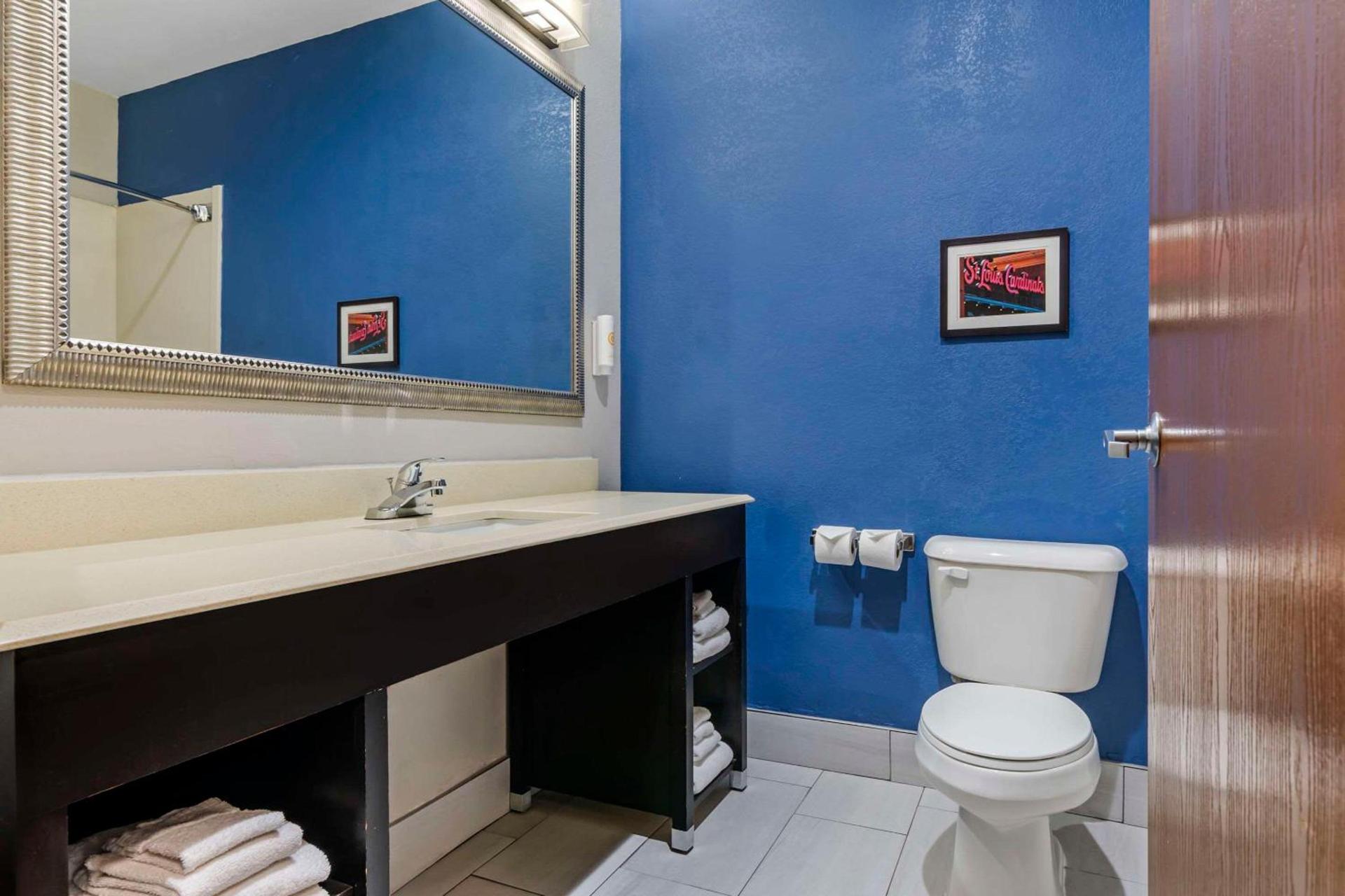 Comfort Suites St Charles-St Louis photo 22