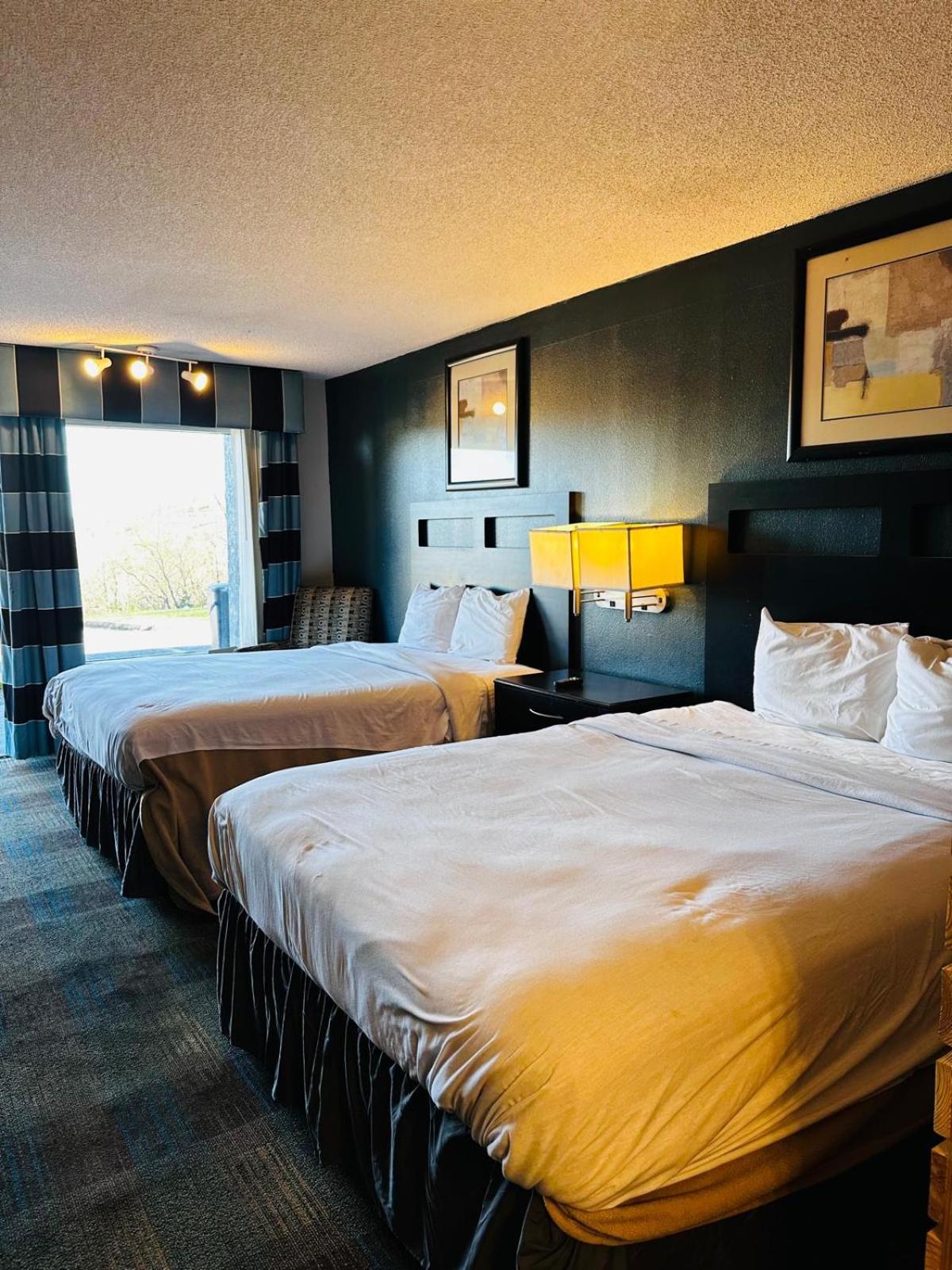 3 Y Motel photo 41