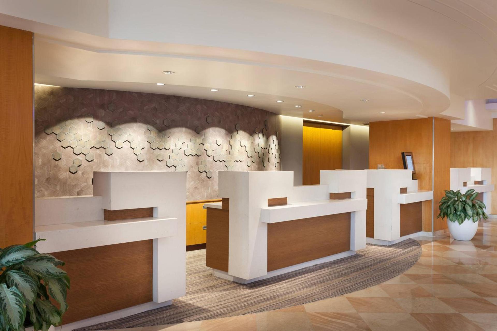 Fort Lauderdale Marriott Harbor Beach Resort & Spa photo 4