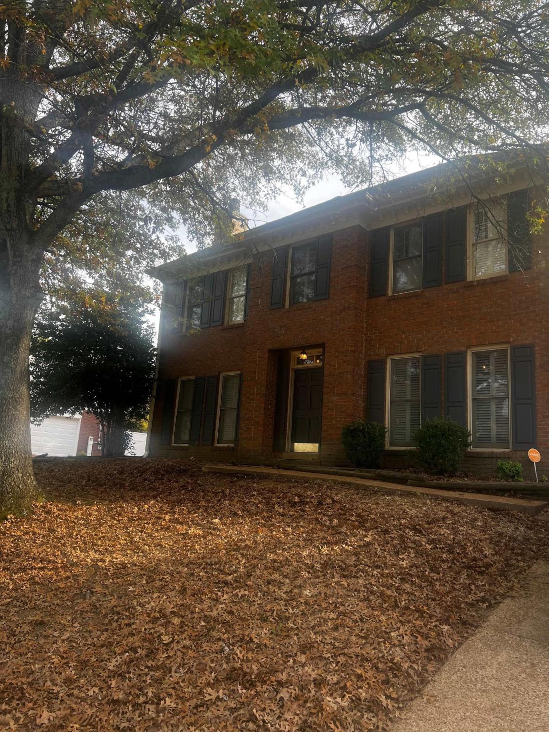 Cozy in Cordova-- Close to I-40 photo 45