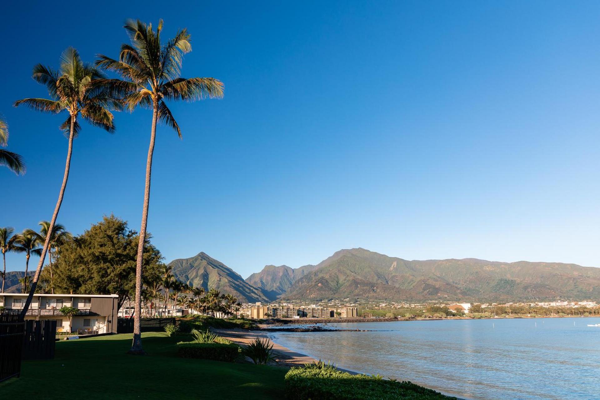 Maui Seaside Hotel photo 4