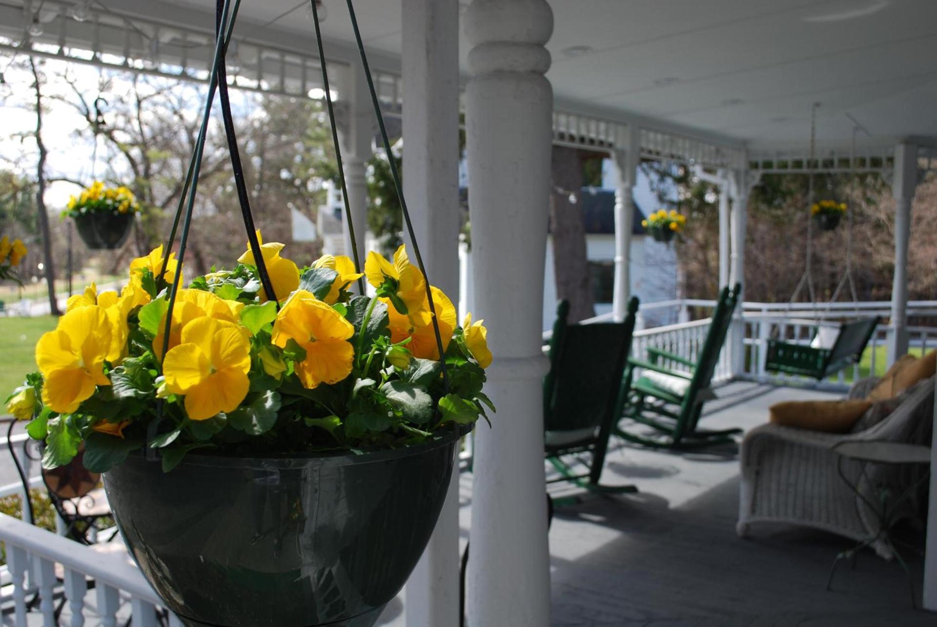 Anne's Washington Inn photo 5
