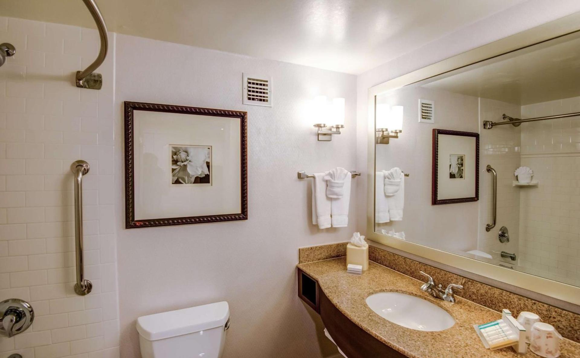 Hilton Garden Inn Tampa Ybor Historic District photo 29